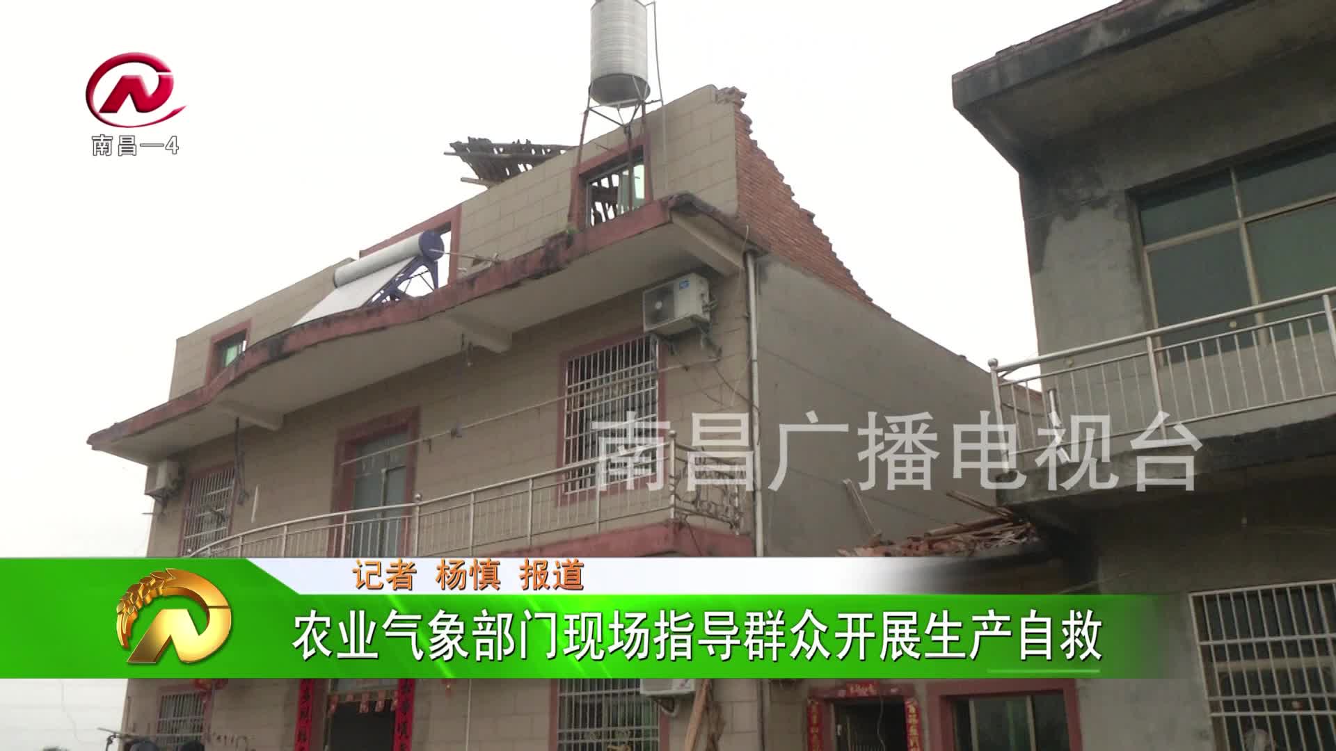 【豫章农视】农业部门现场指导群众开展生产自救