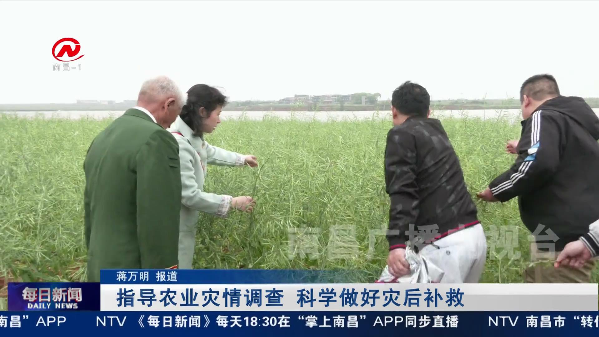 指导农业灾情调查 科学做好灾后补救