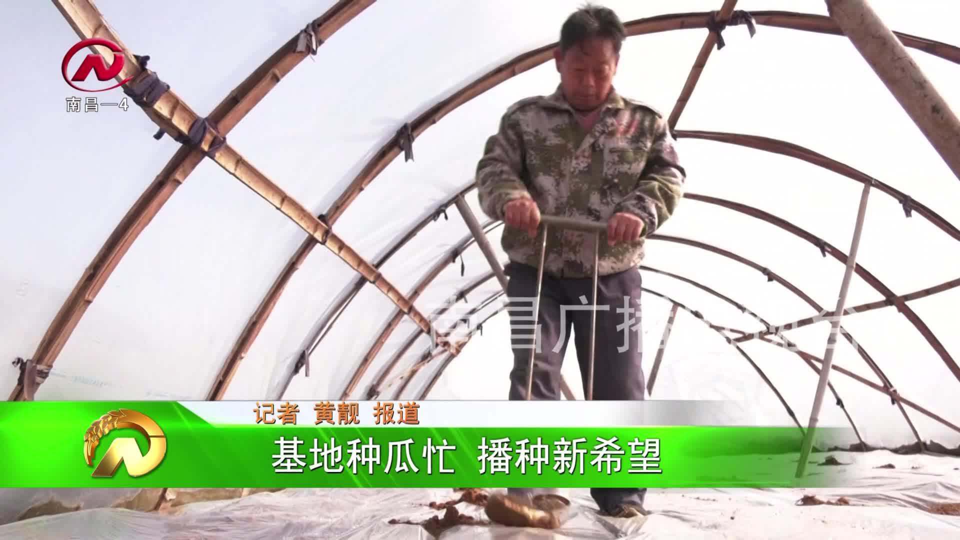 【豫章农视】进贤县：基地种瓜忙 播种新希望