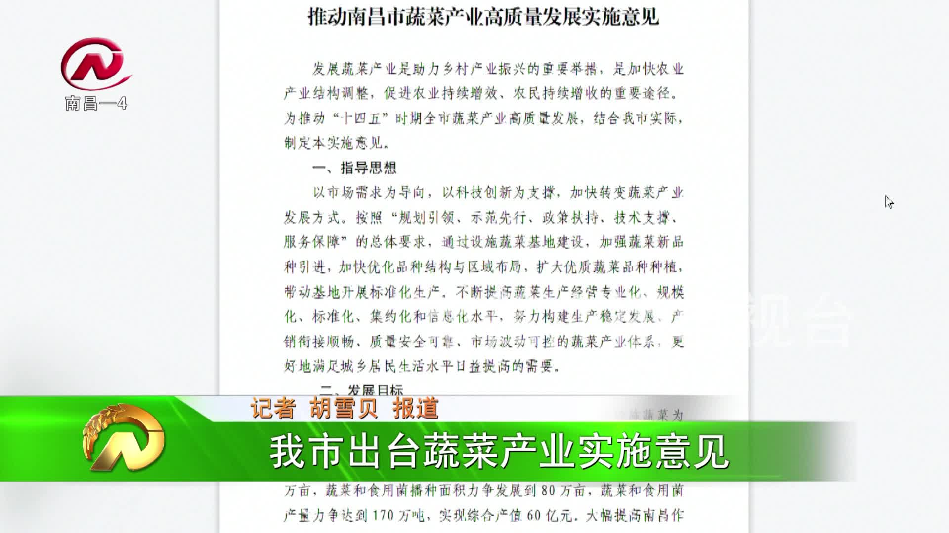 【豫章农视】南昌出台蔬菜产业实施意见