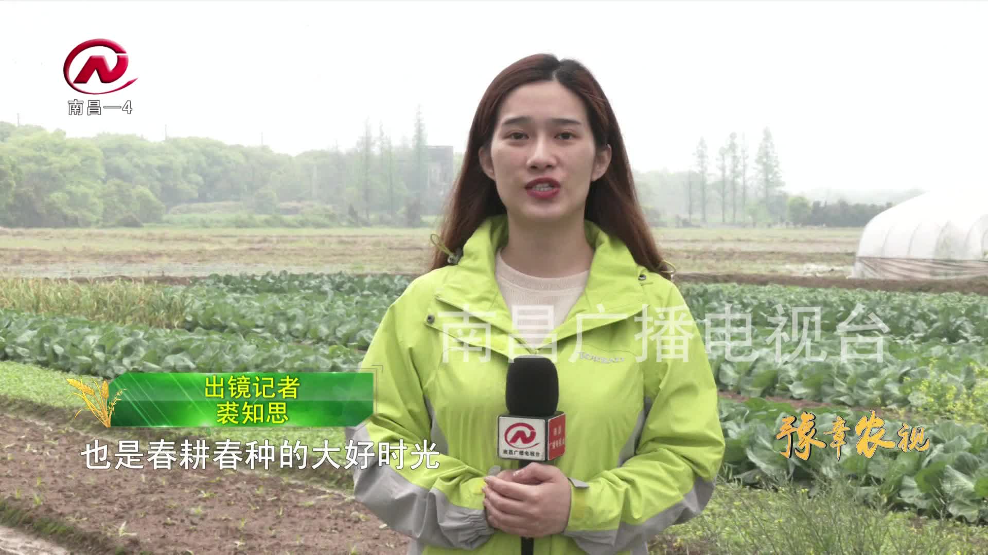 【豫章农视】清明节气 气清景明