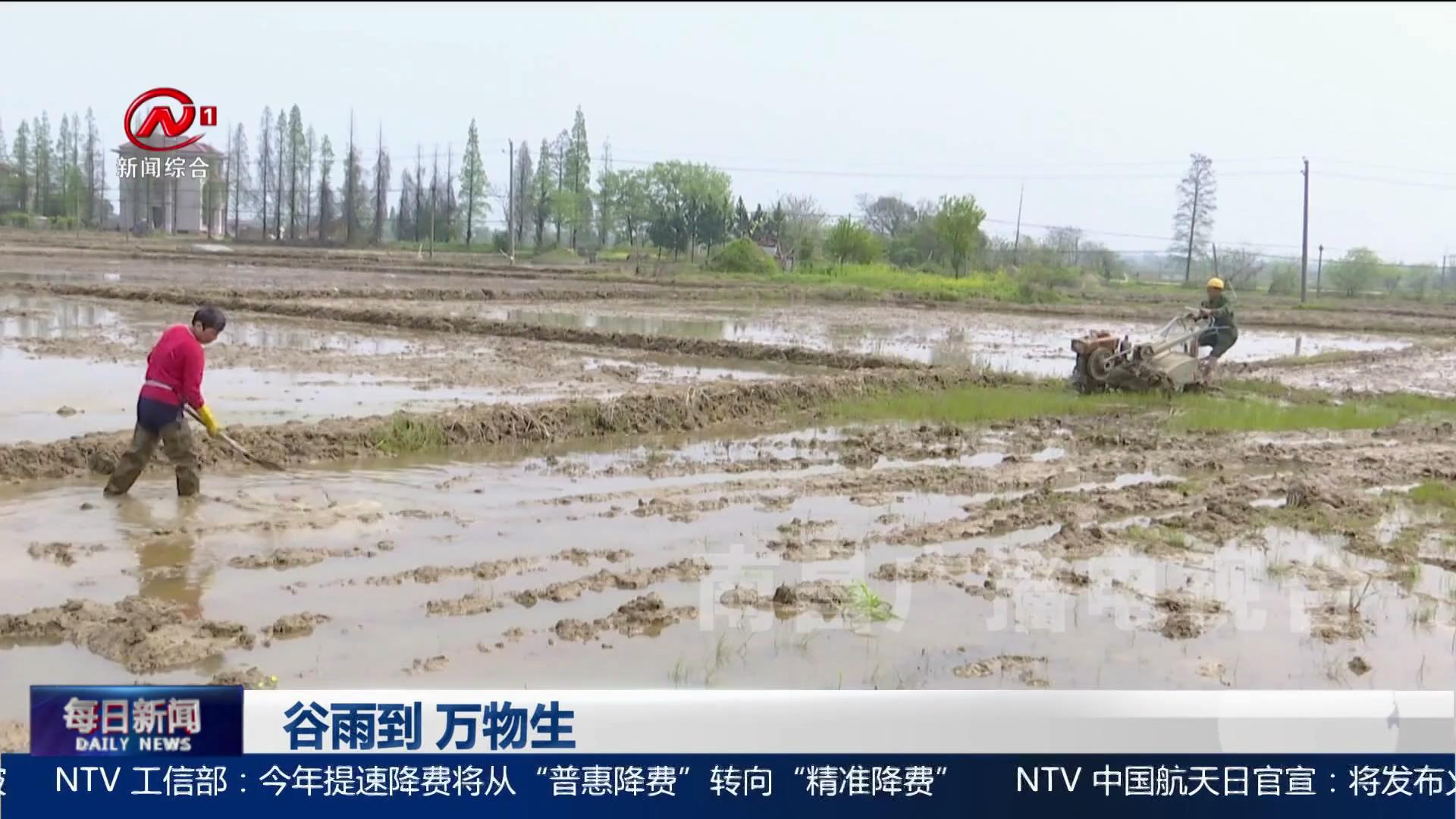 谷雨到 万物生