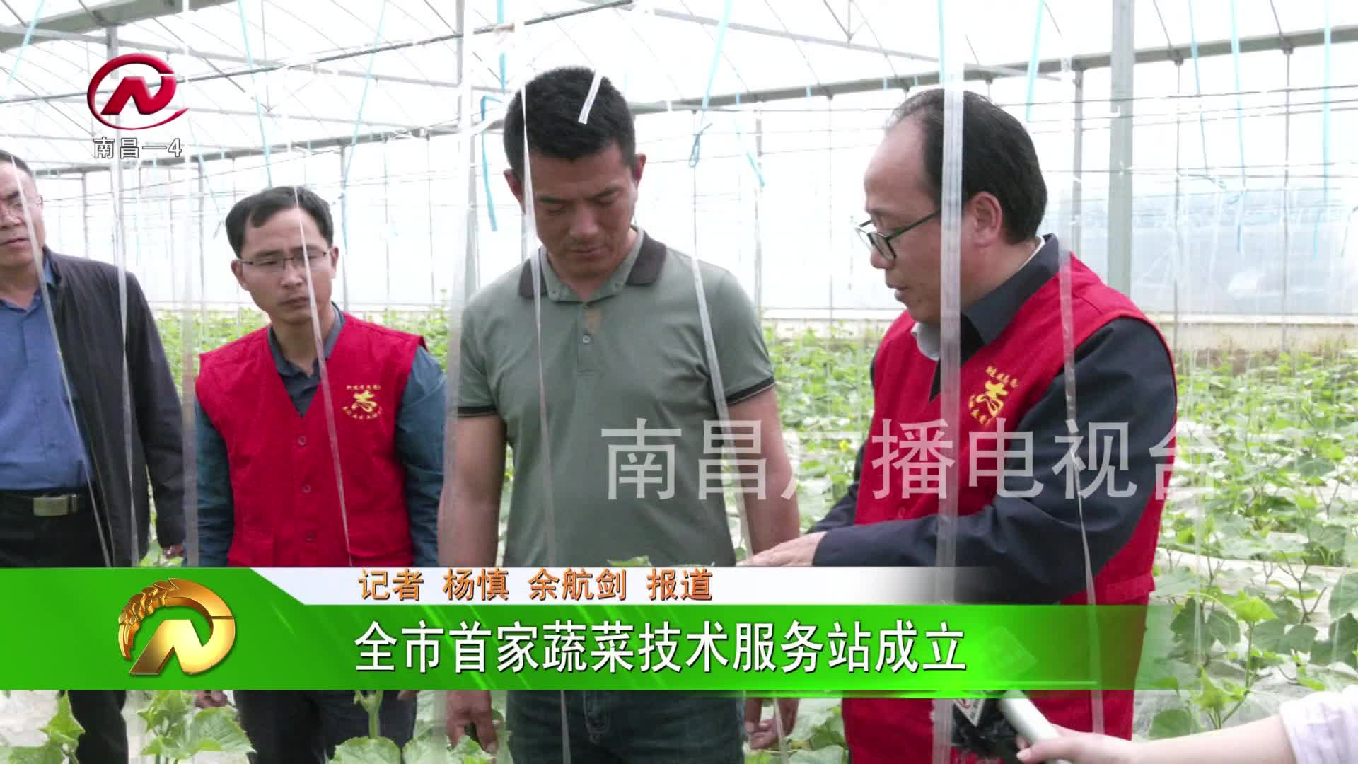 【豫章农视】全市首家蔬菜技术服务站成立