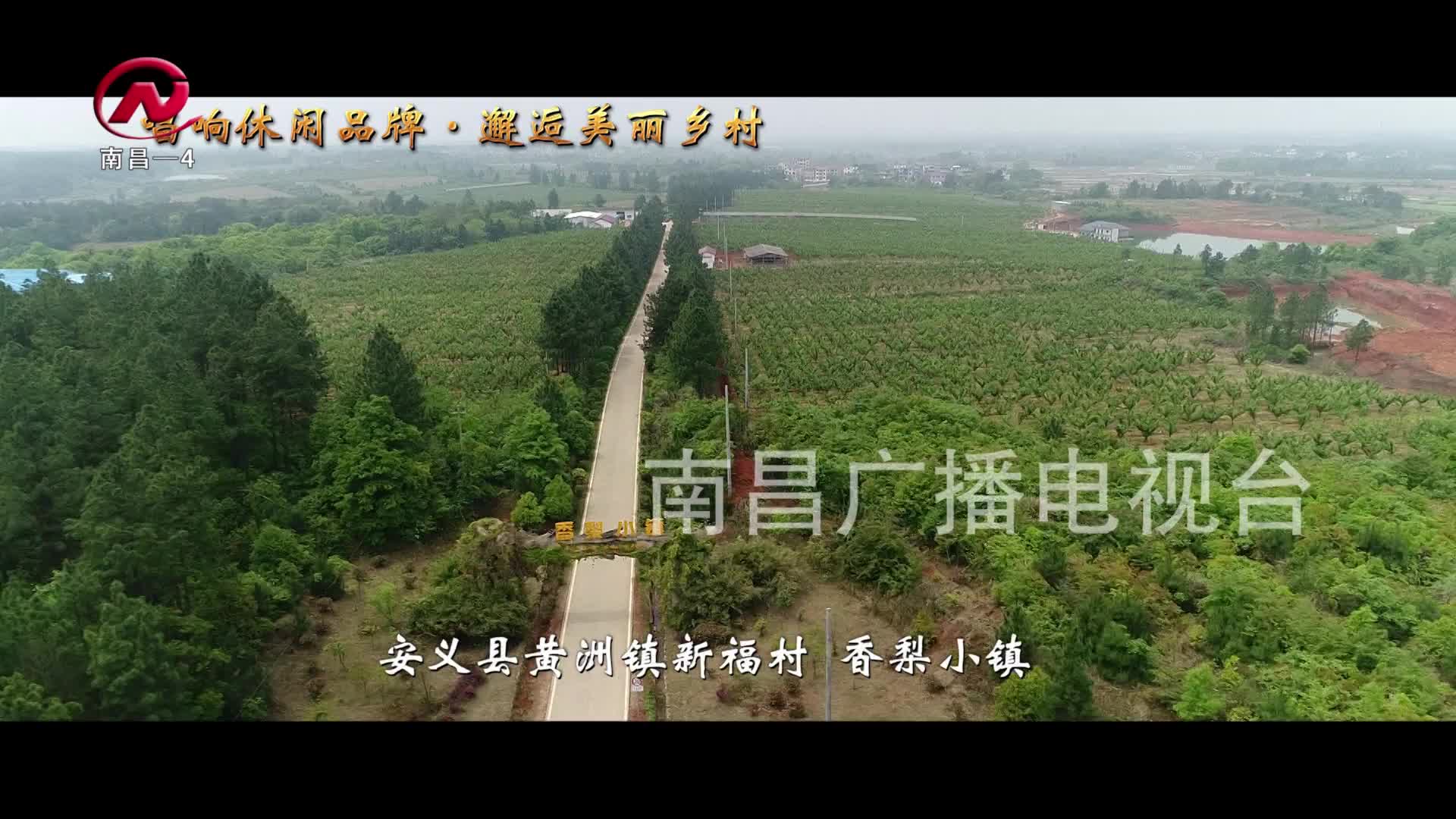 【豫章农视】安义：品粉说爱觅春之旅（二）