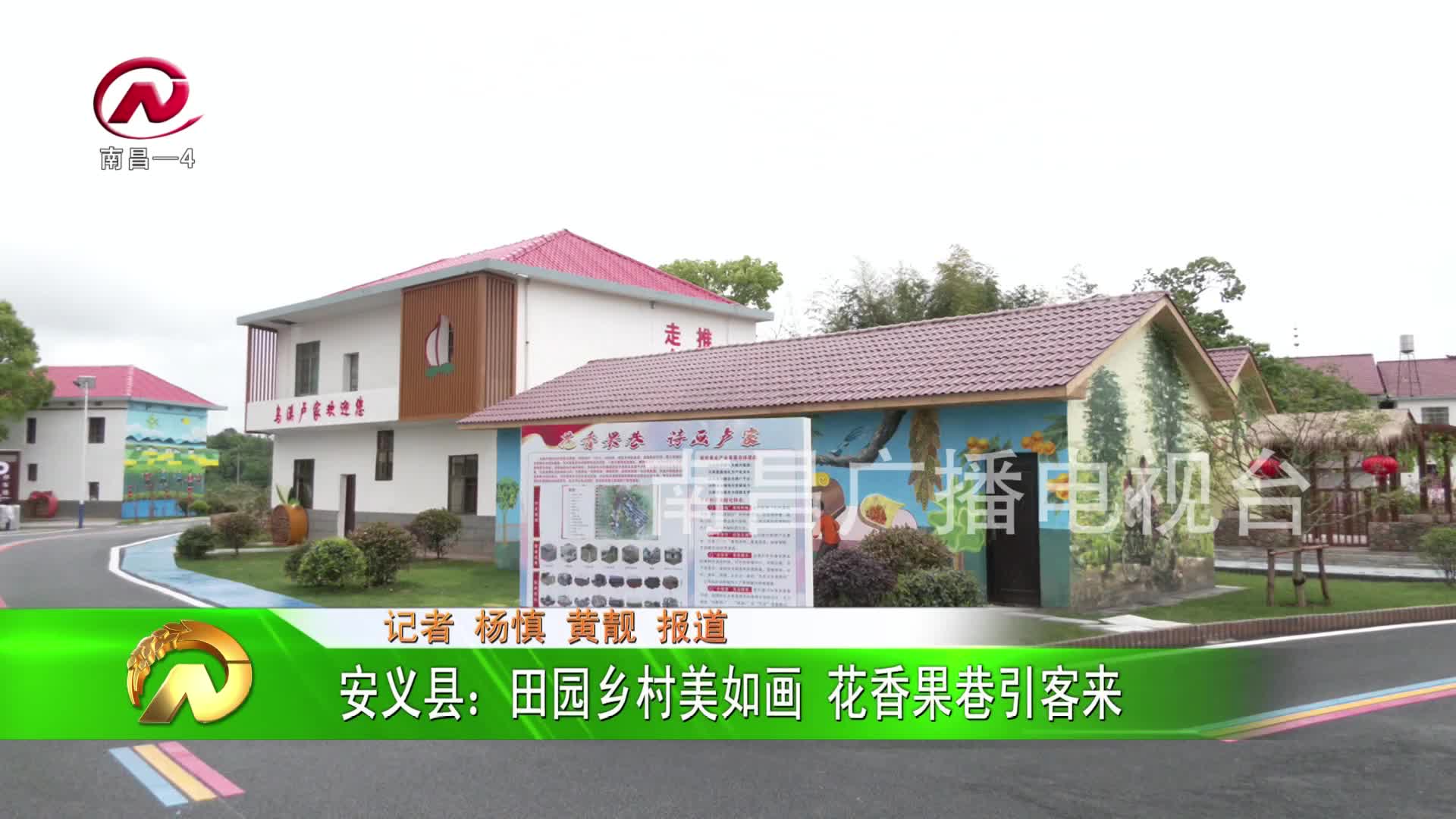 【豫章农视】安义县：田园乡村美如画 花香果巷引客来