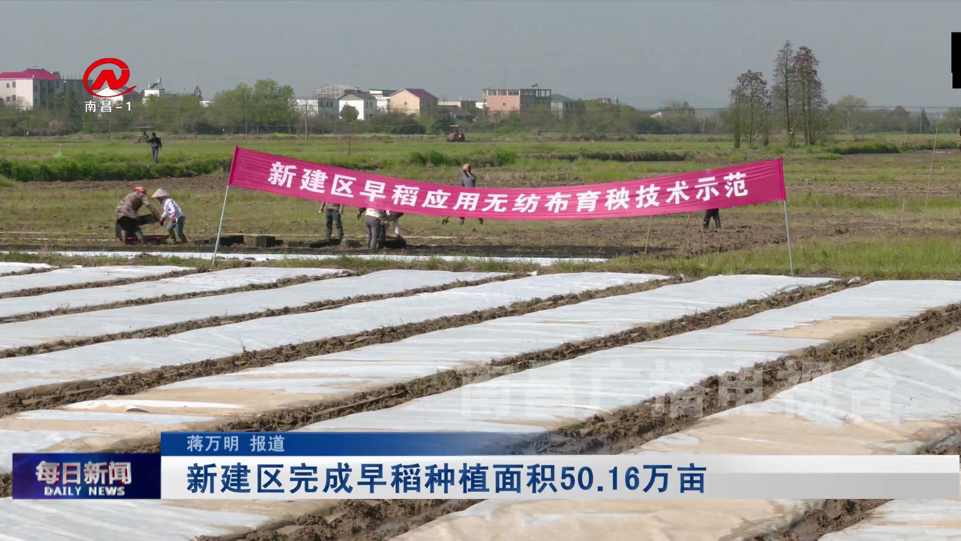 新建区完成早稻种植面积50.16万亩