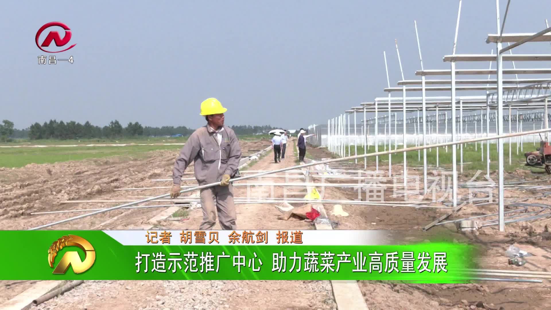 【豫章农视】打造示范推广中心 助力蔬菜产业高质量发展