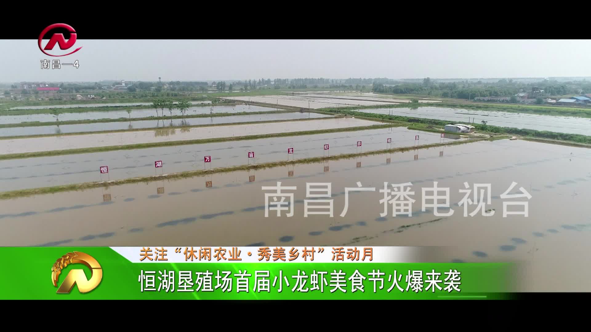 【豫章农视】恒湖垦殖场首届小龙虾美食节火爆来袭