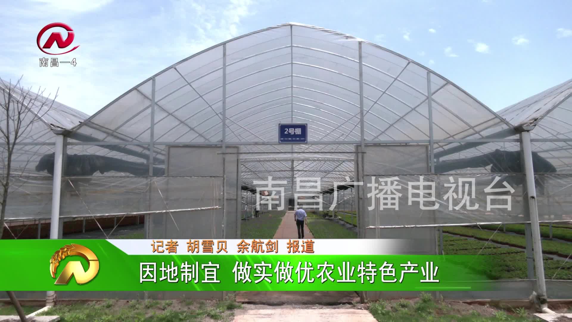 【豫章农视】因地制宜 做实做优农业特色产业