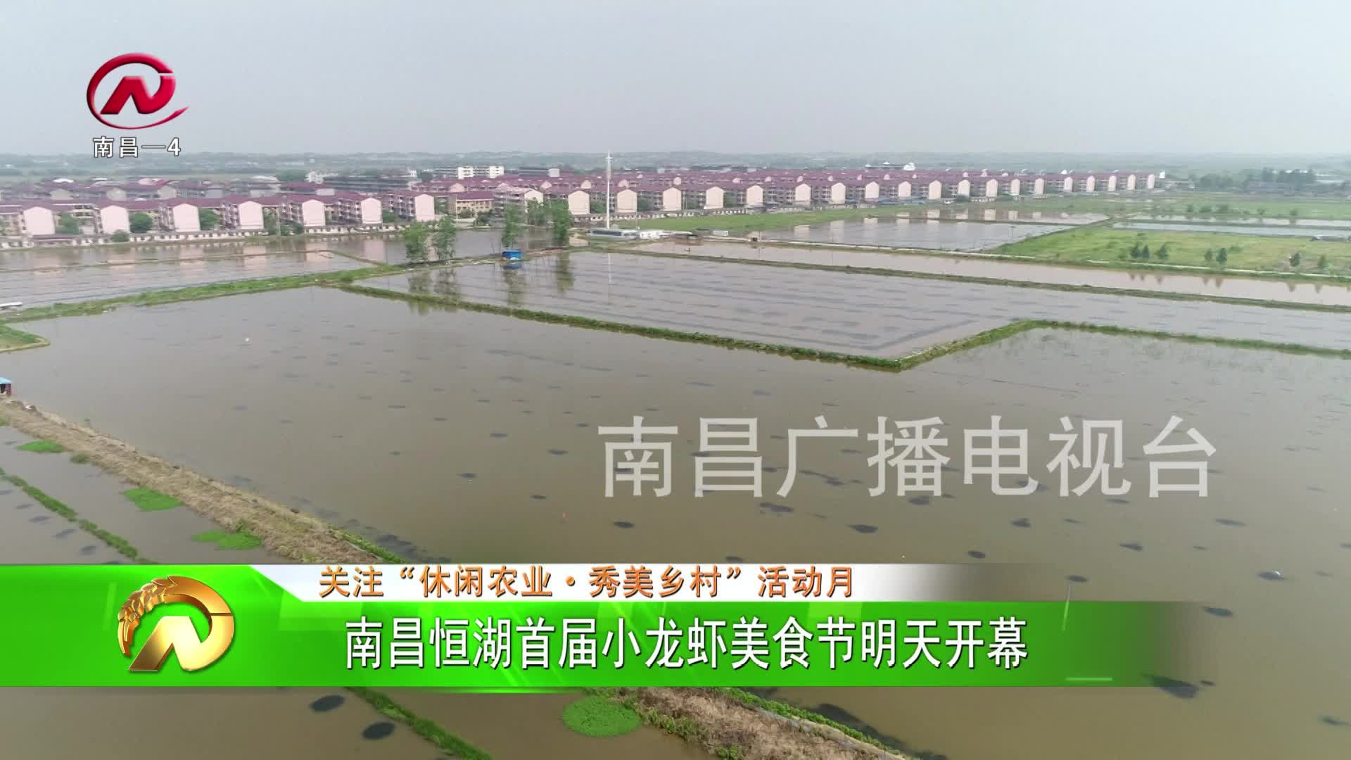 【豫章农视】南昌恒湖首届小龙虾美食节明天开幕