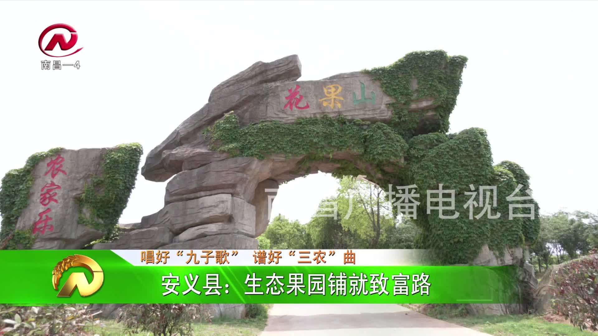 【豫章农视】安义县：生态果园铺就致富路