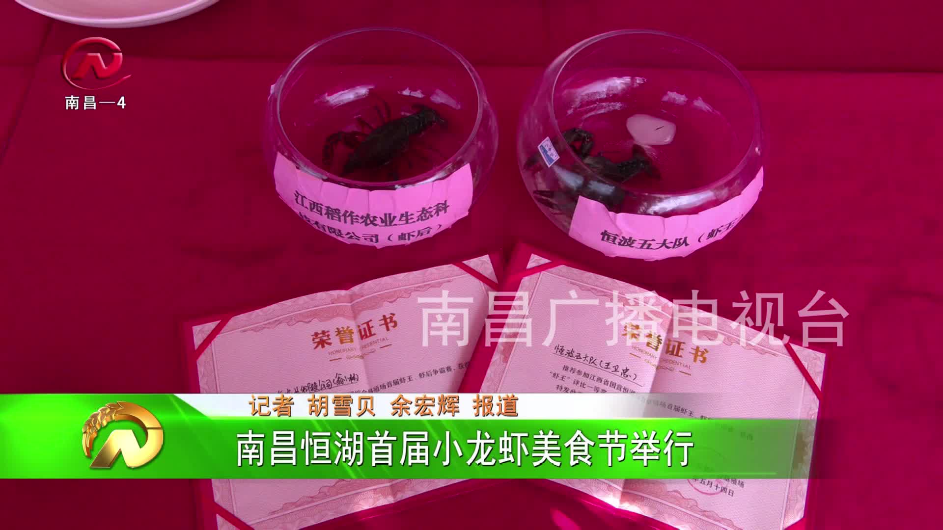 【豫章农视】南昌恒湖首届小龙虾美食节举行