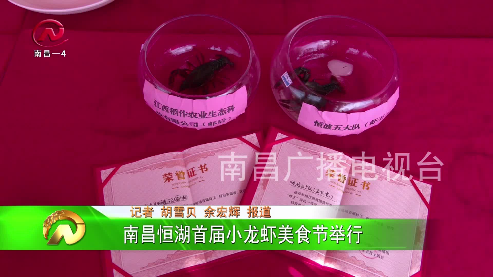 【豫章农视】南昌恒湖首届小龙虾美食节举行
