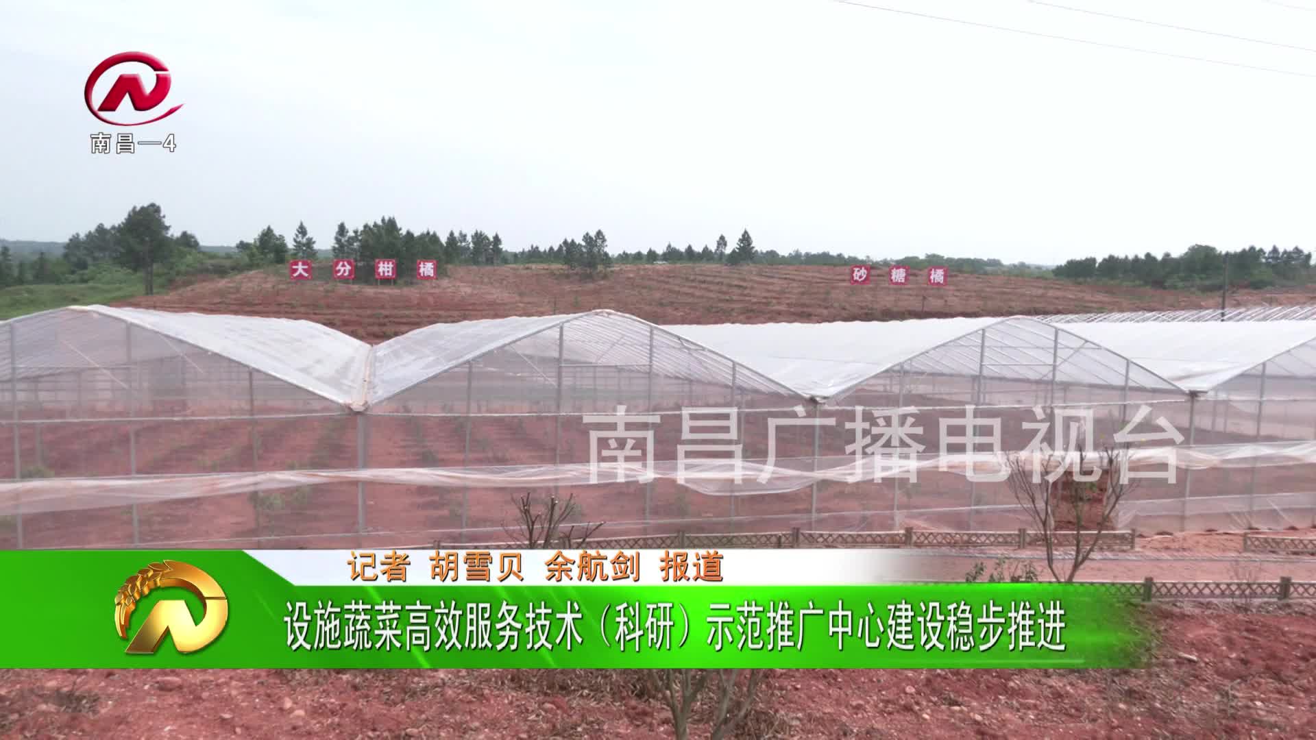 【豫章农视】设施蔬菜高效服务技术（科研）示范推广中心建设稳步推进