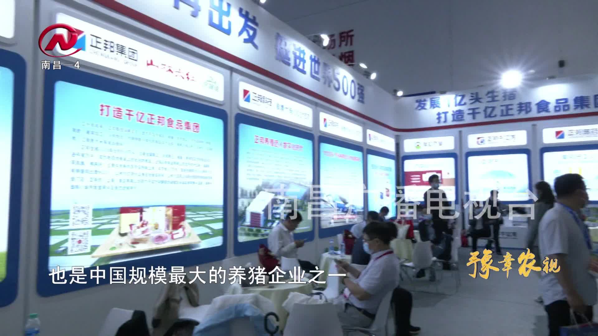 【豫章农视】南昌本土企业借力畜博会走出国门