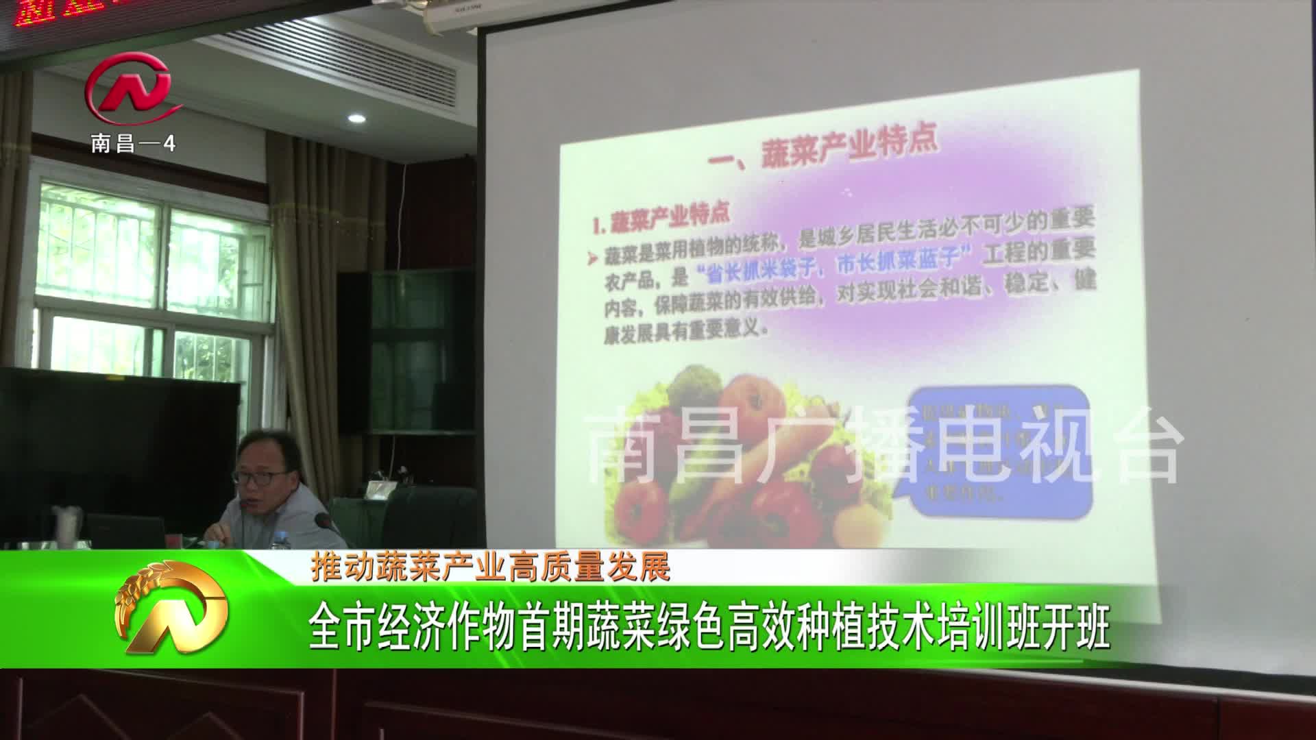 【豫章农视】全市经济作物首期蔬菜绿色高效种植技术培训班开班