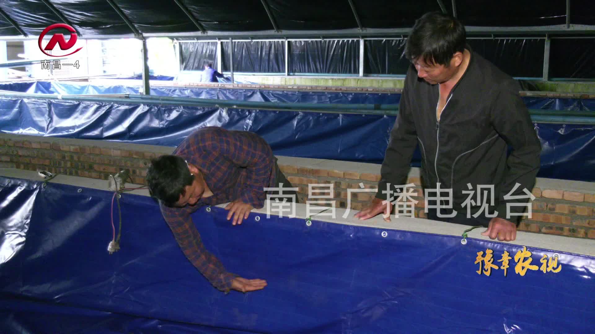 【豫章农视】念好“特”字经 做强富民产业