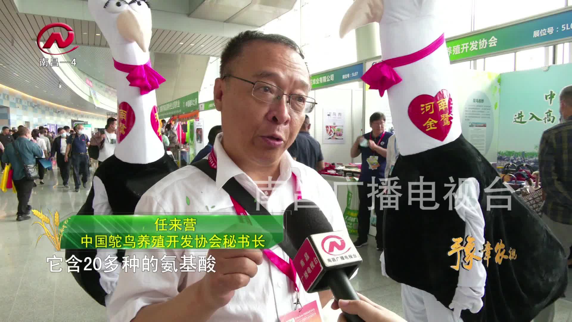 【豫章农视】多个“首次”做“加法” 助推畜牧产业蓬勃发展