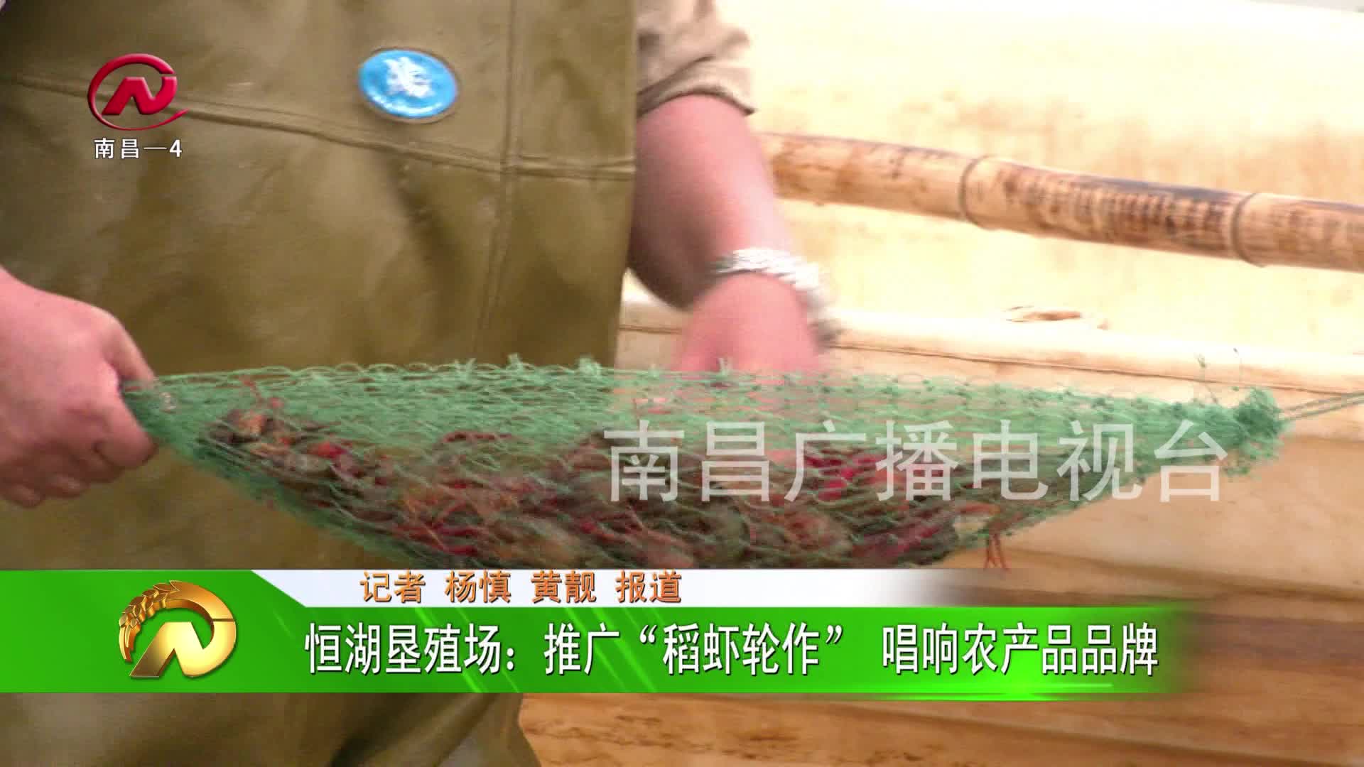 【豫章农视】恒湖垦殖场：推广“稻虾轮作”  唱响农产品品牌