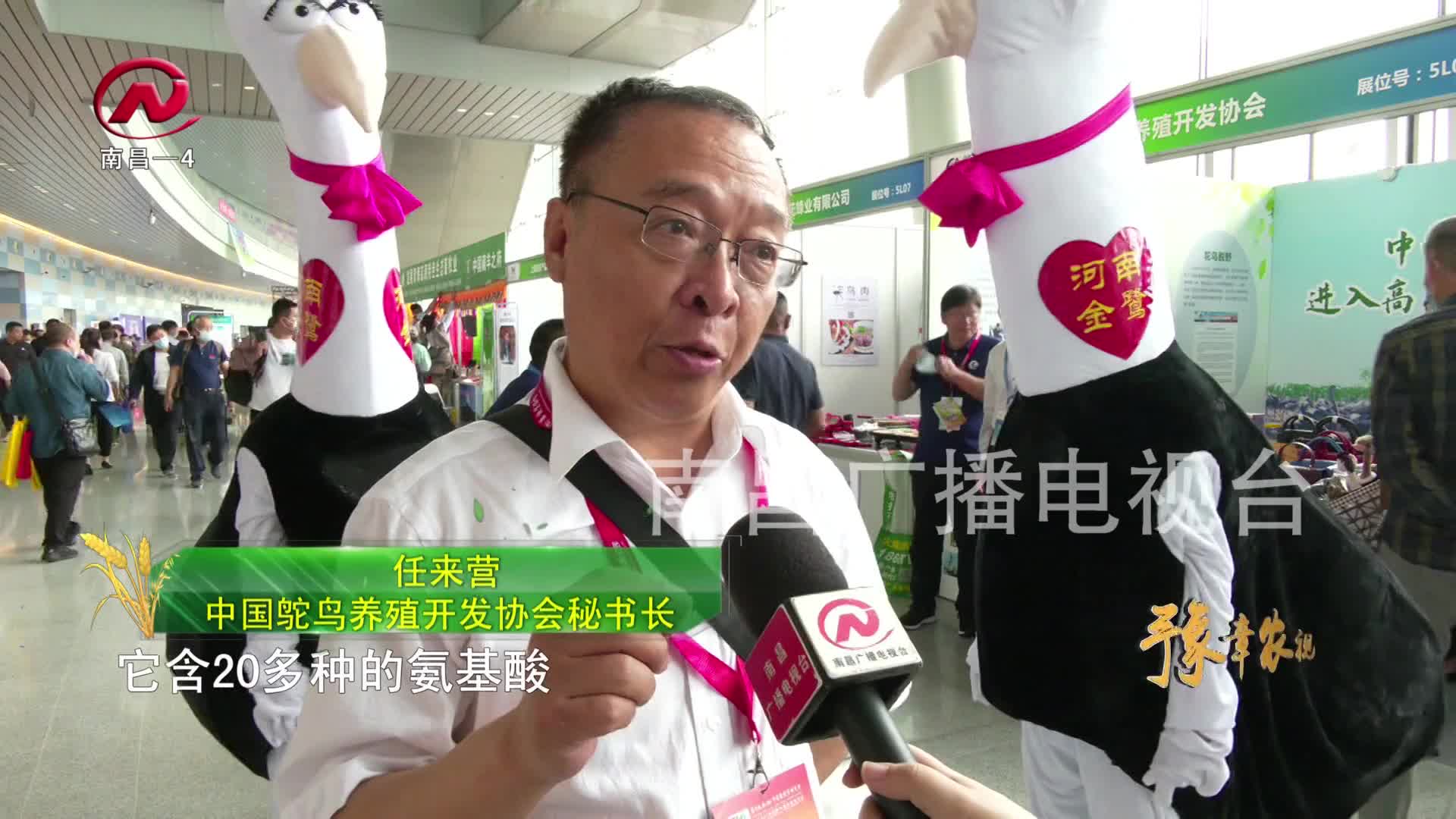 【豫章农视】多个“首次”做“加法” 助推畜牧产业蓬勃发展