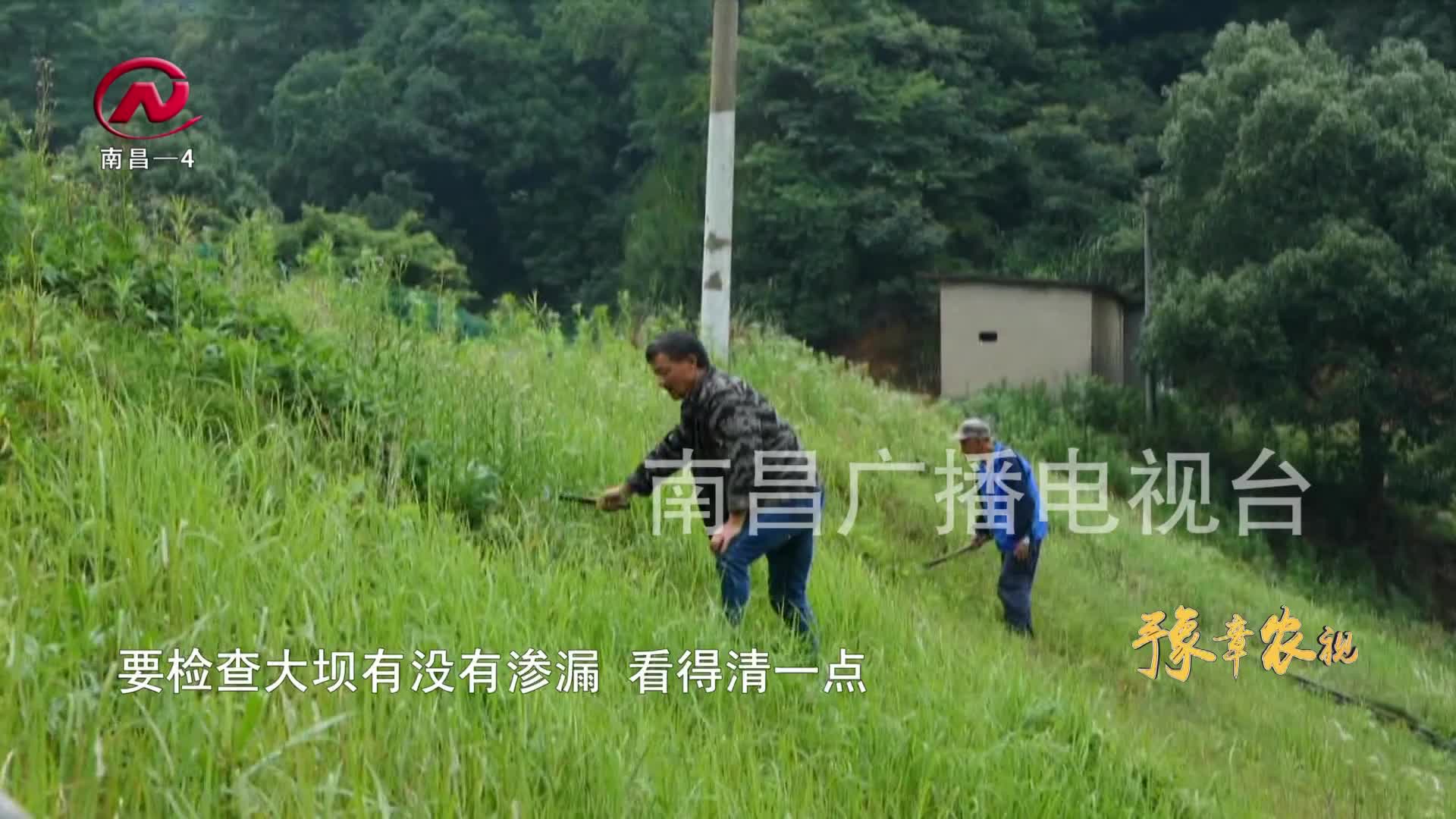 【豫章农视】湾里：多措并举全力做好防汛工作