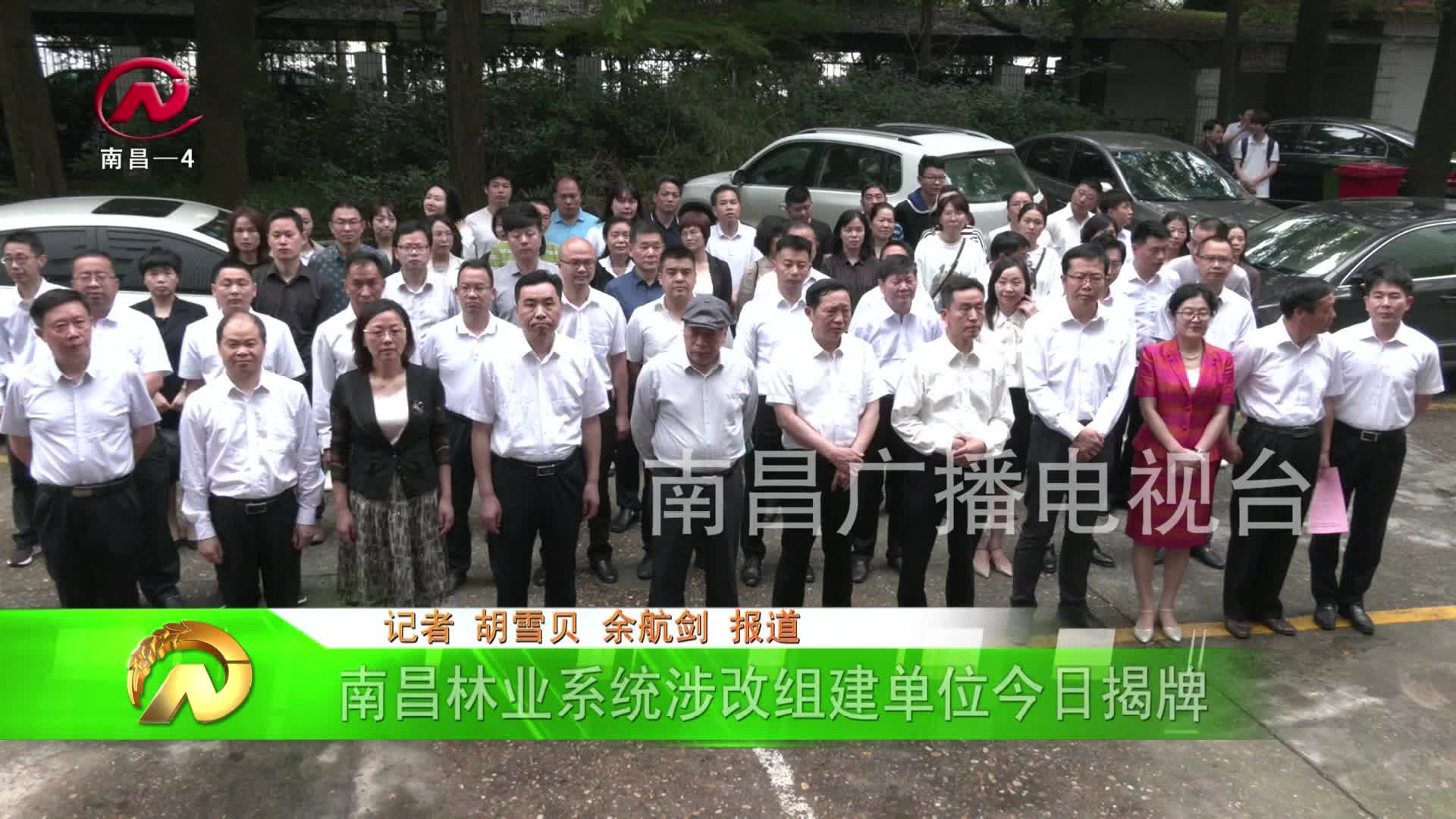 【豫章农视】南昌林业系统涉改组建单位今日揭牌