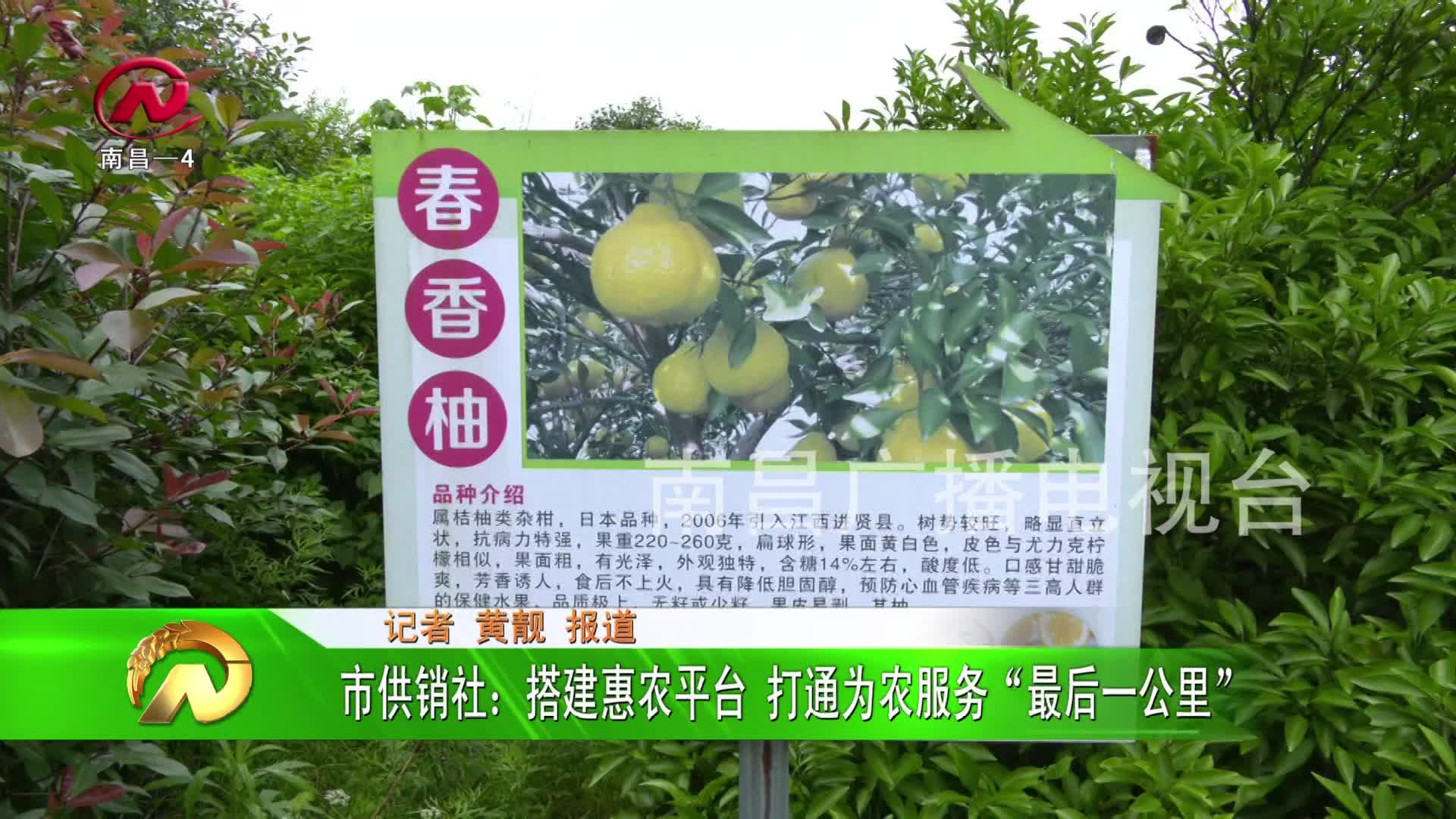 【豫章农视】搭建惠农平台 打通为农服务“最后一公里”