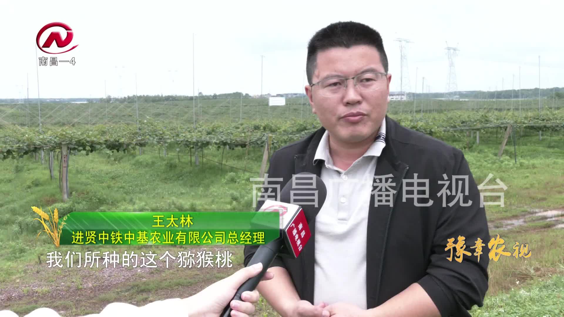 【豫章农视】 农业特色产业强发展 助力乡村振兴跑出“加速度”