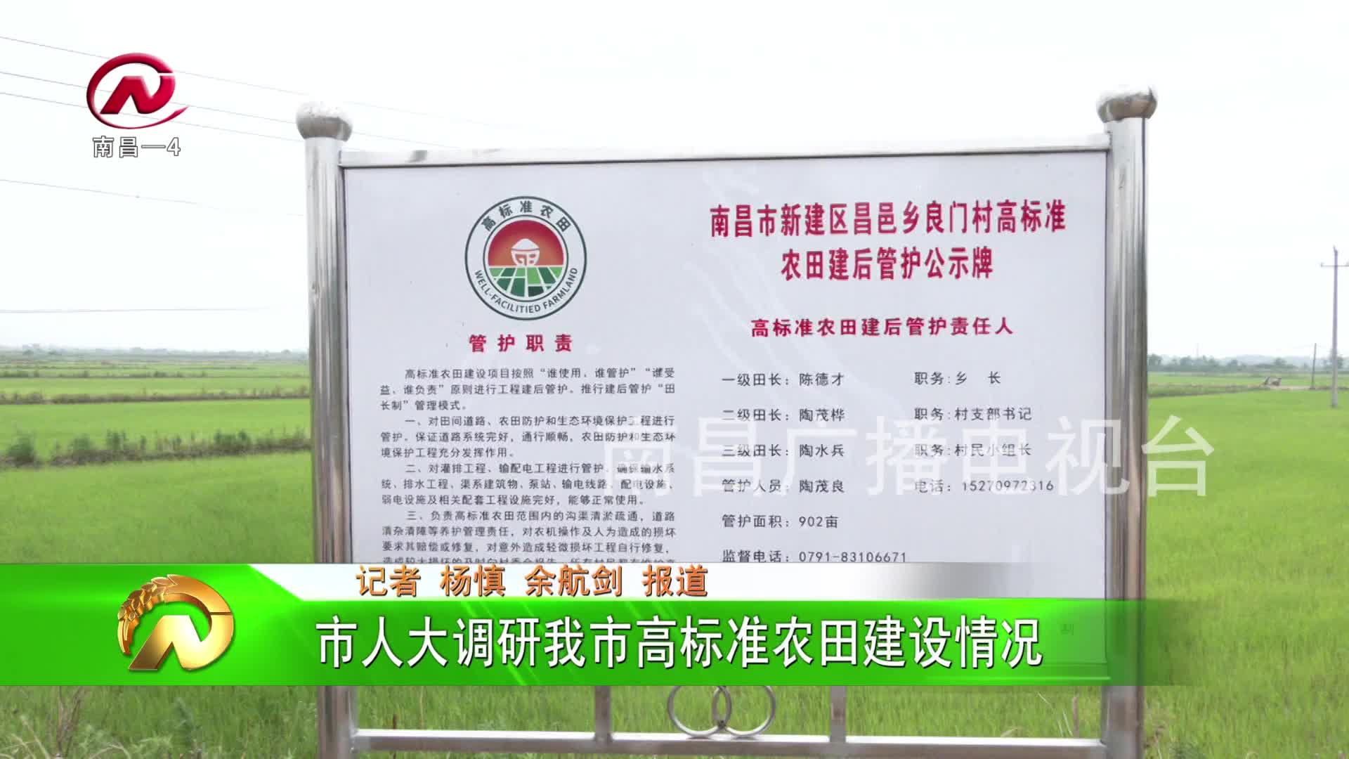 【豫章农视】市人大调研我市高标准农田建设情况