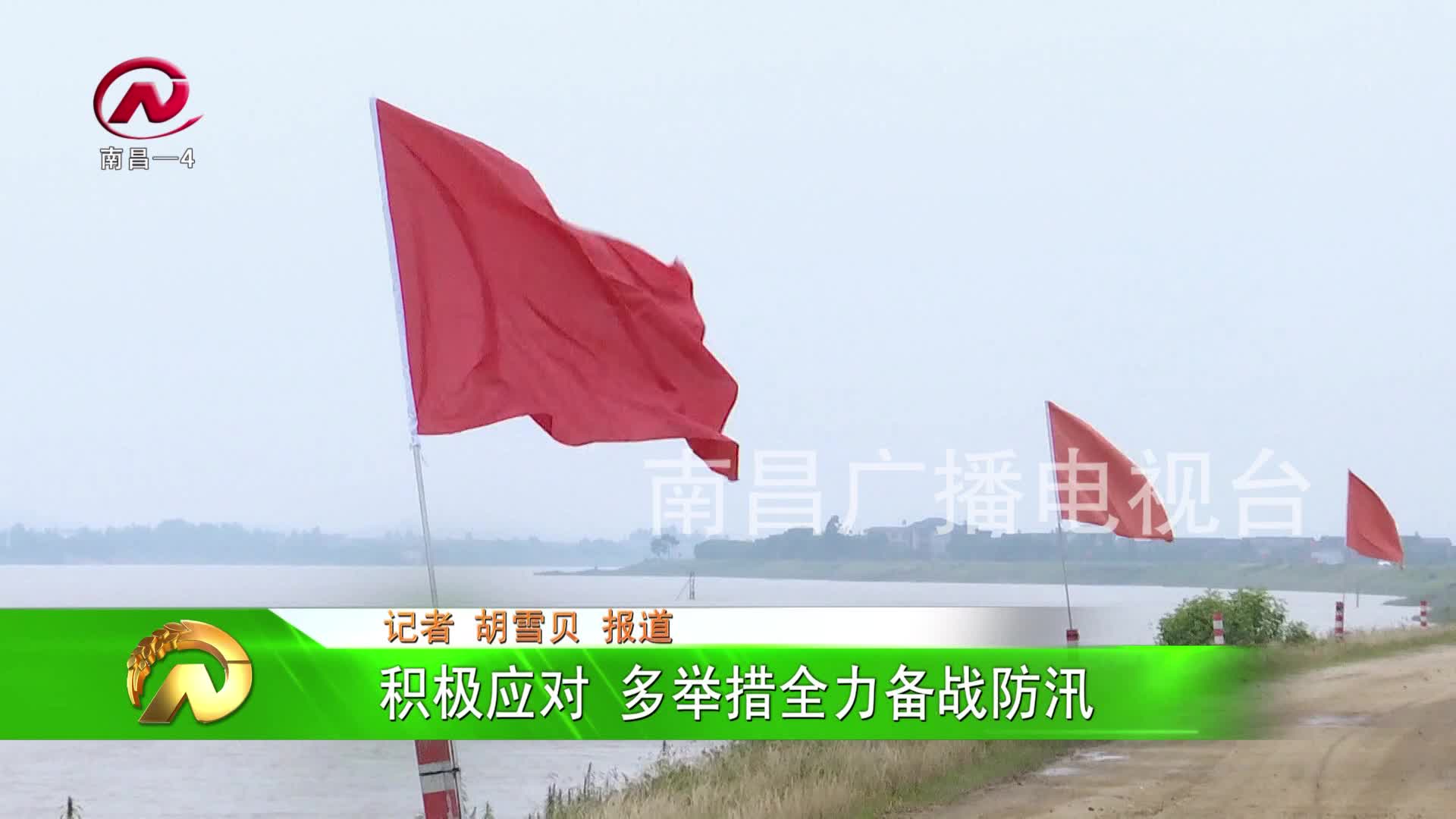 【豫章农视】积极应对 多举措全力备战防汛