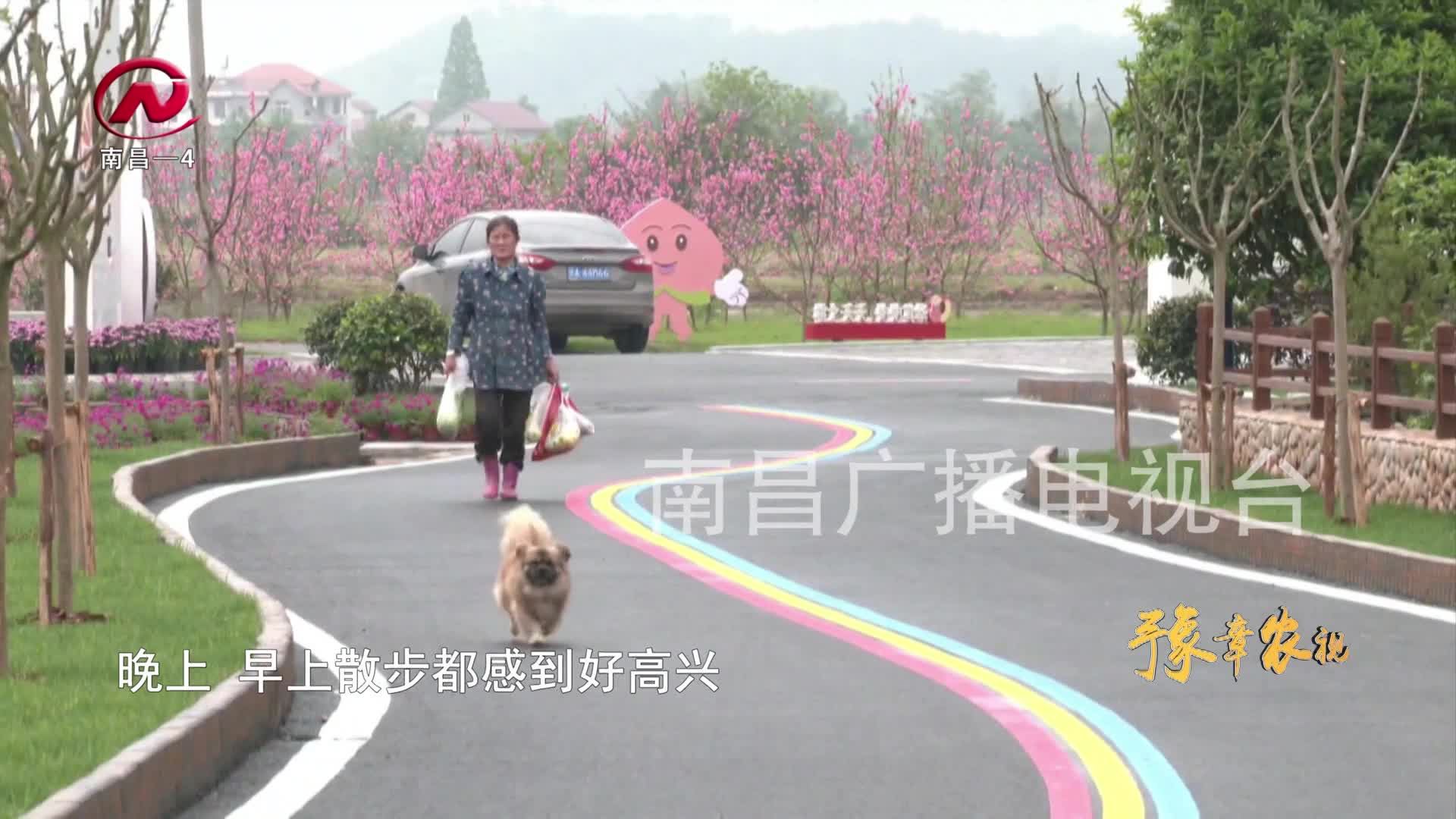 【豫章农视】美丽乡村展新颜 生态美景入画来