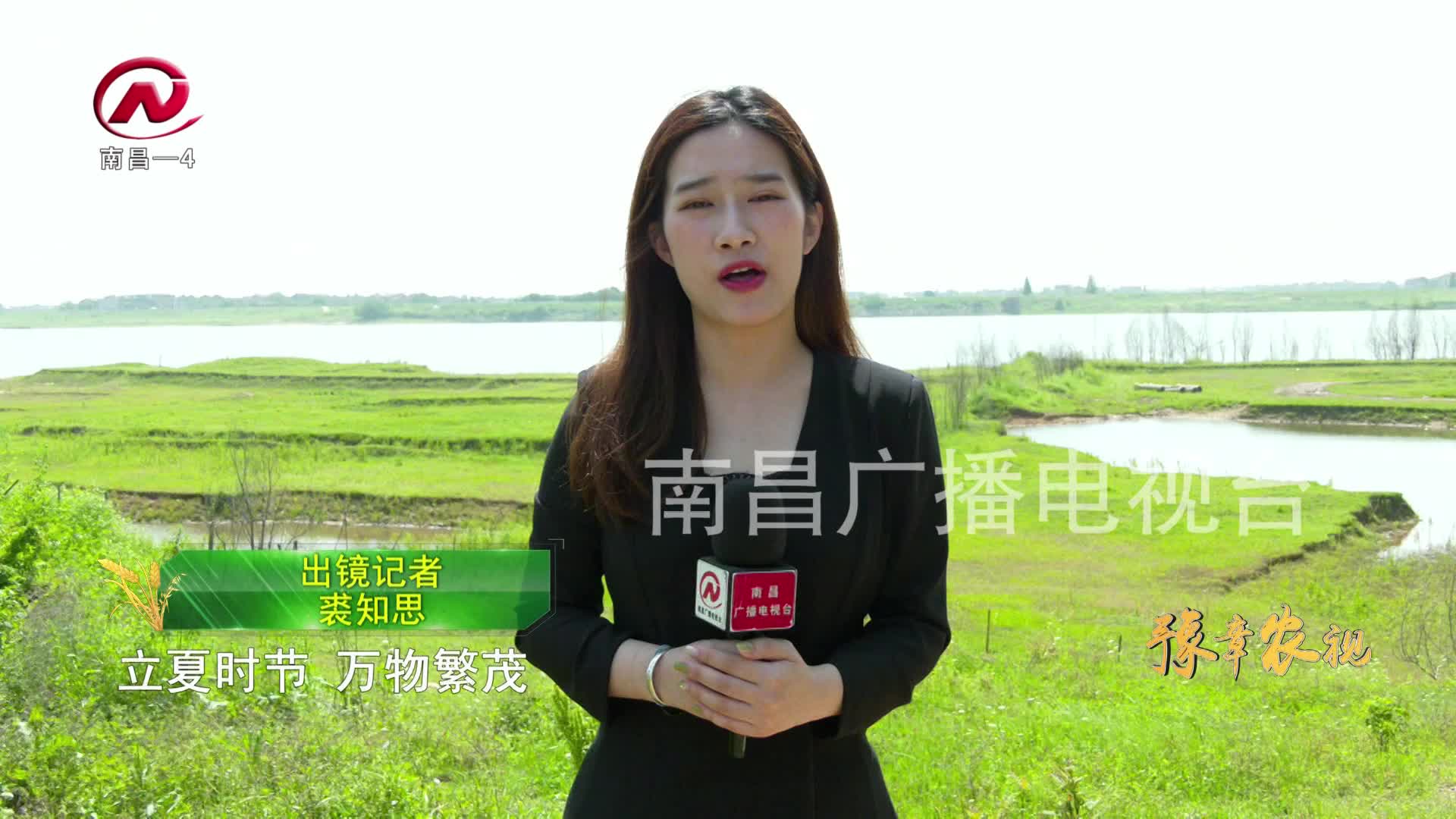 【豫章农视】立夏：万物繁茂 生机盎然