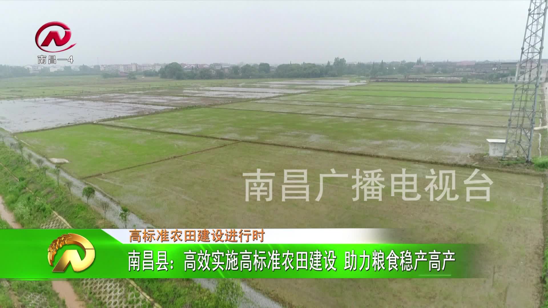 【豫章农视】南昌县：高效实施高标准农田建设 助力粮食稳产高产