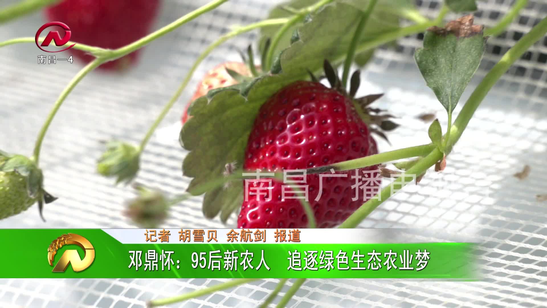 【豫章农视】邓鼎怀：95后新农人  追逐绿色生态农业梦