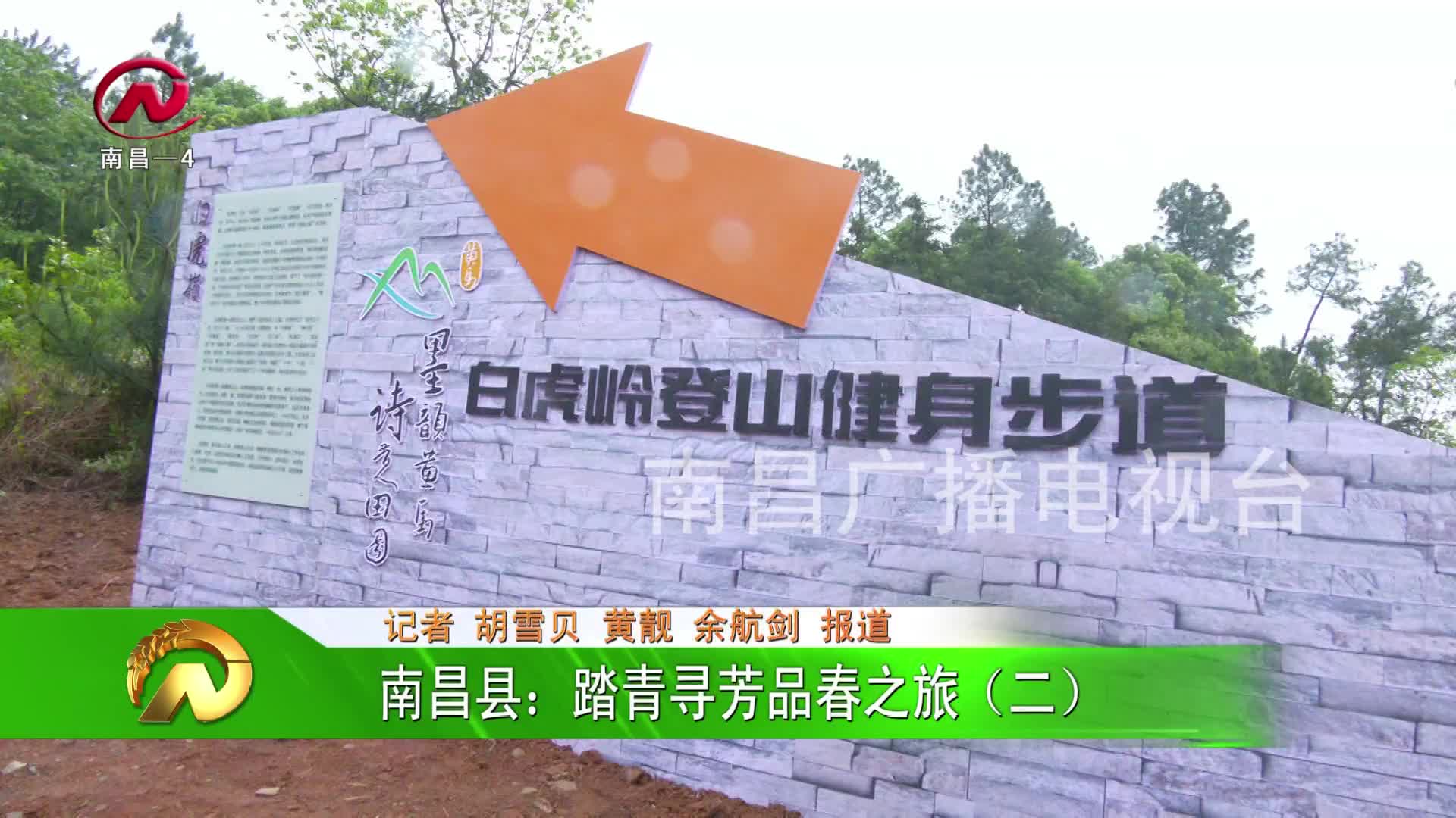 【豫章农视】南昌县：踏青寻芳品春之旅