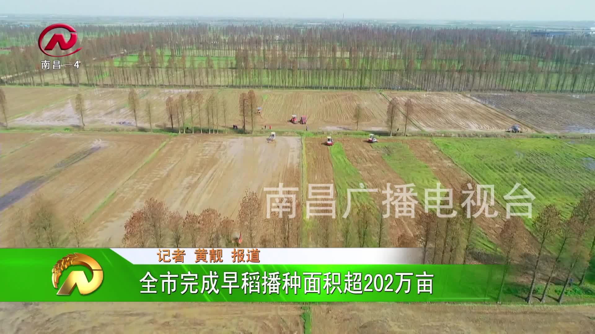 【豫章农视】全市完成早稻播种面积超202万亩