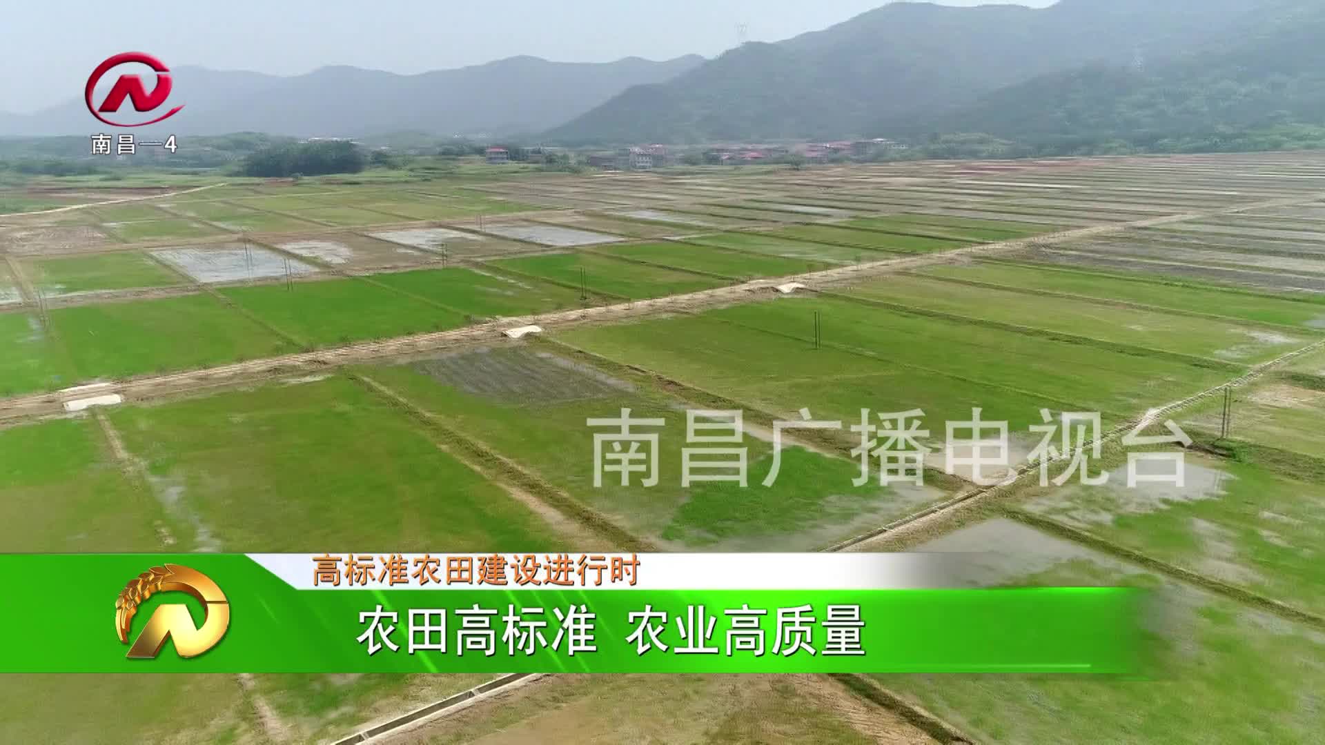 【豫章农视】农田高标准 农业高质量