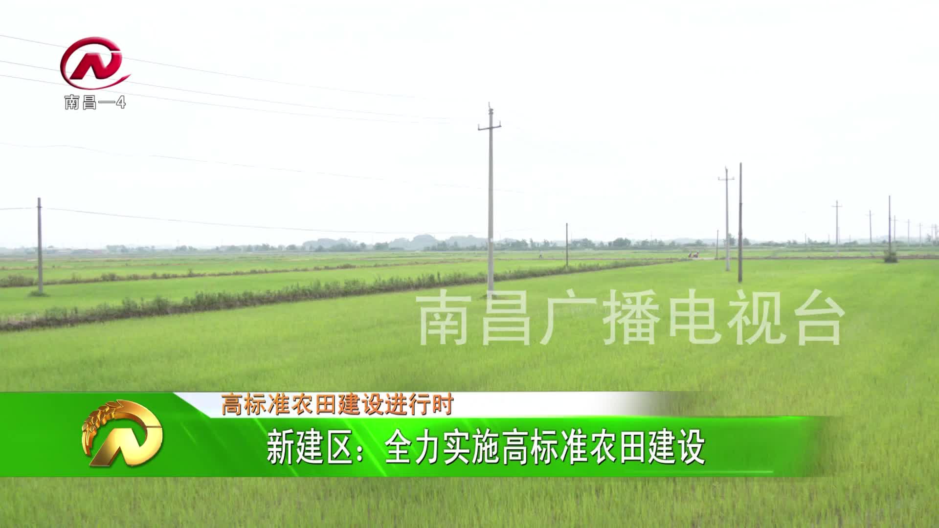 【豫章农视】新建区：全力实施高标准农田建设