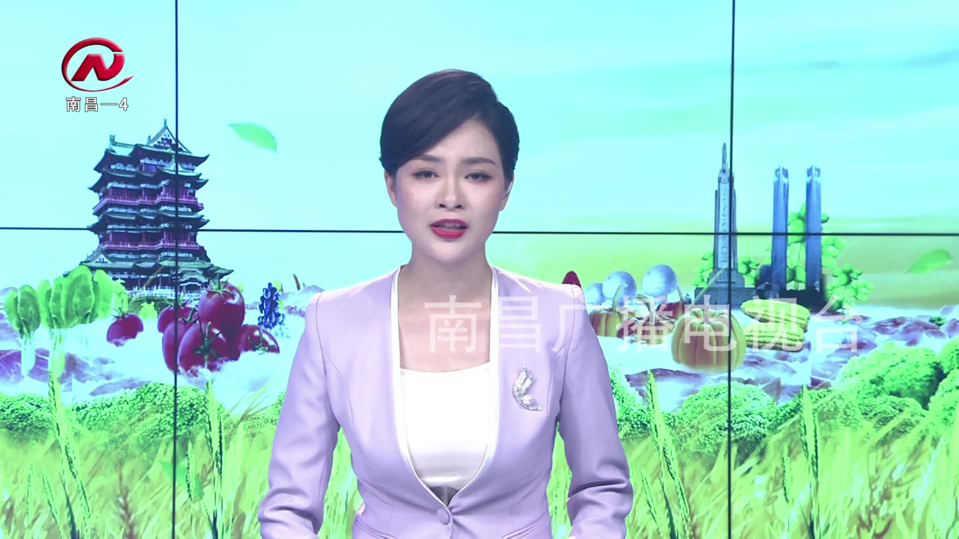 【豫章农视】南昌市乡村振兴局正式挂牌成立