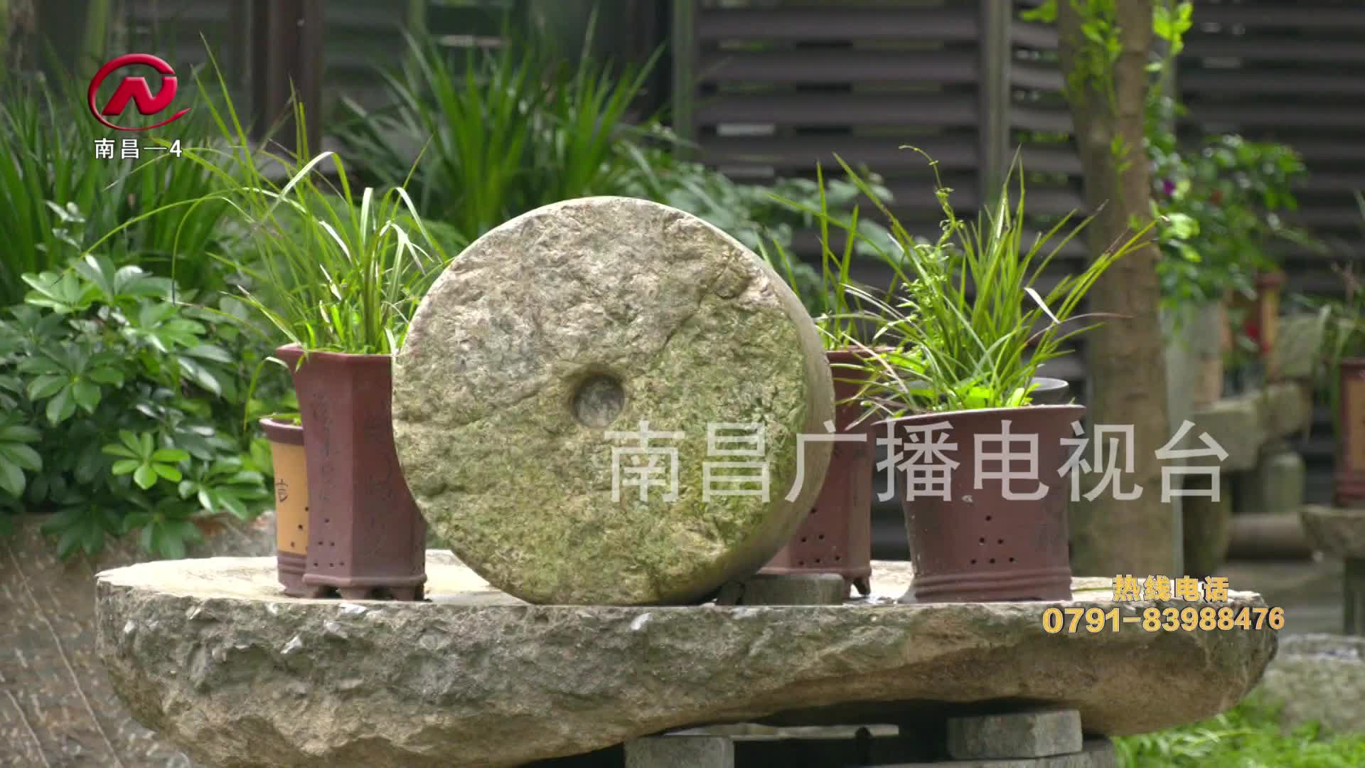 【豫章农视】农旅融合做加法 乡村振兴开新局