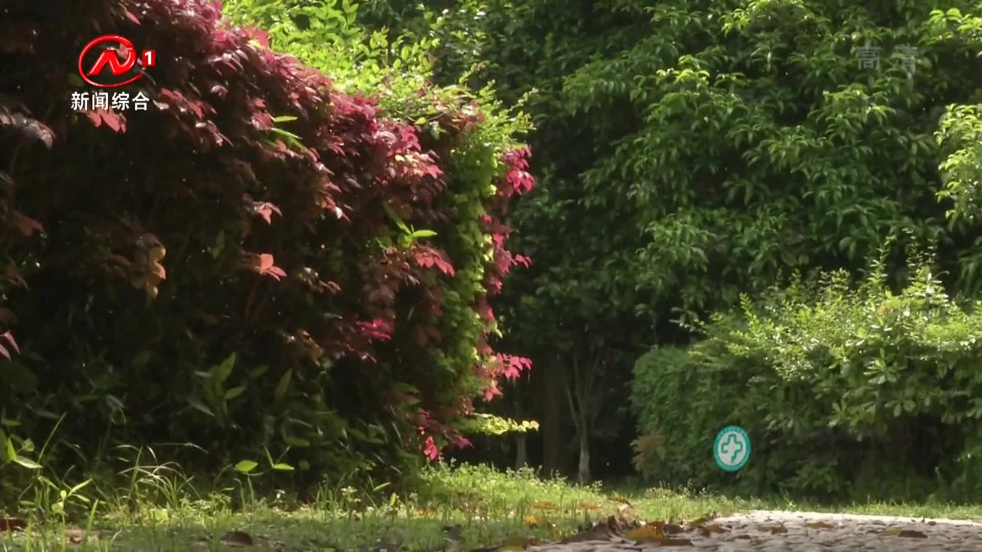 健康有一套 2021-06-11