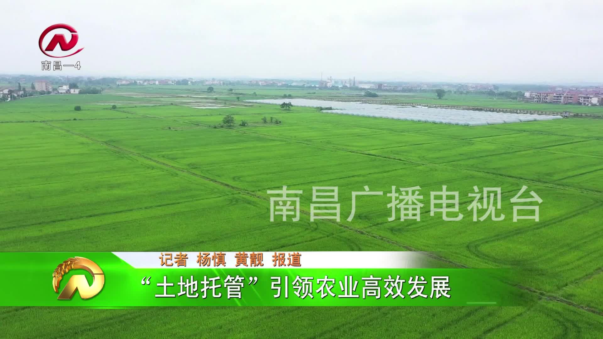 【豫章农视】“土地托管”引领农业高效发展