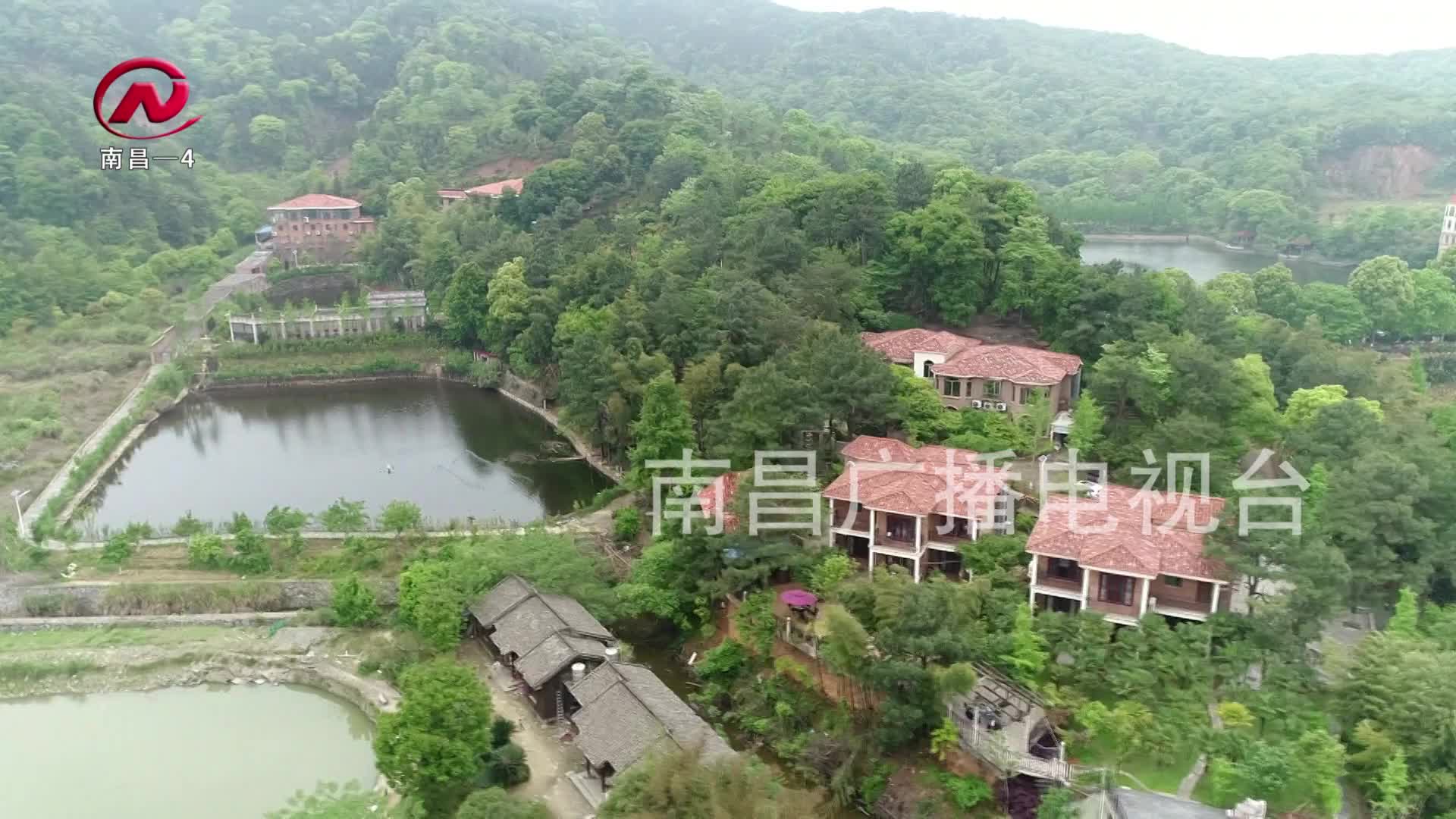 【豫章农视】好山好水好空气 森林康养引客来