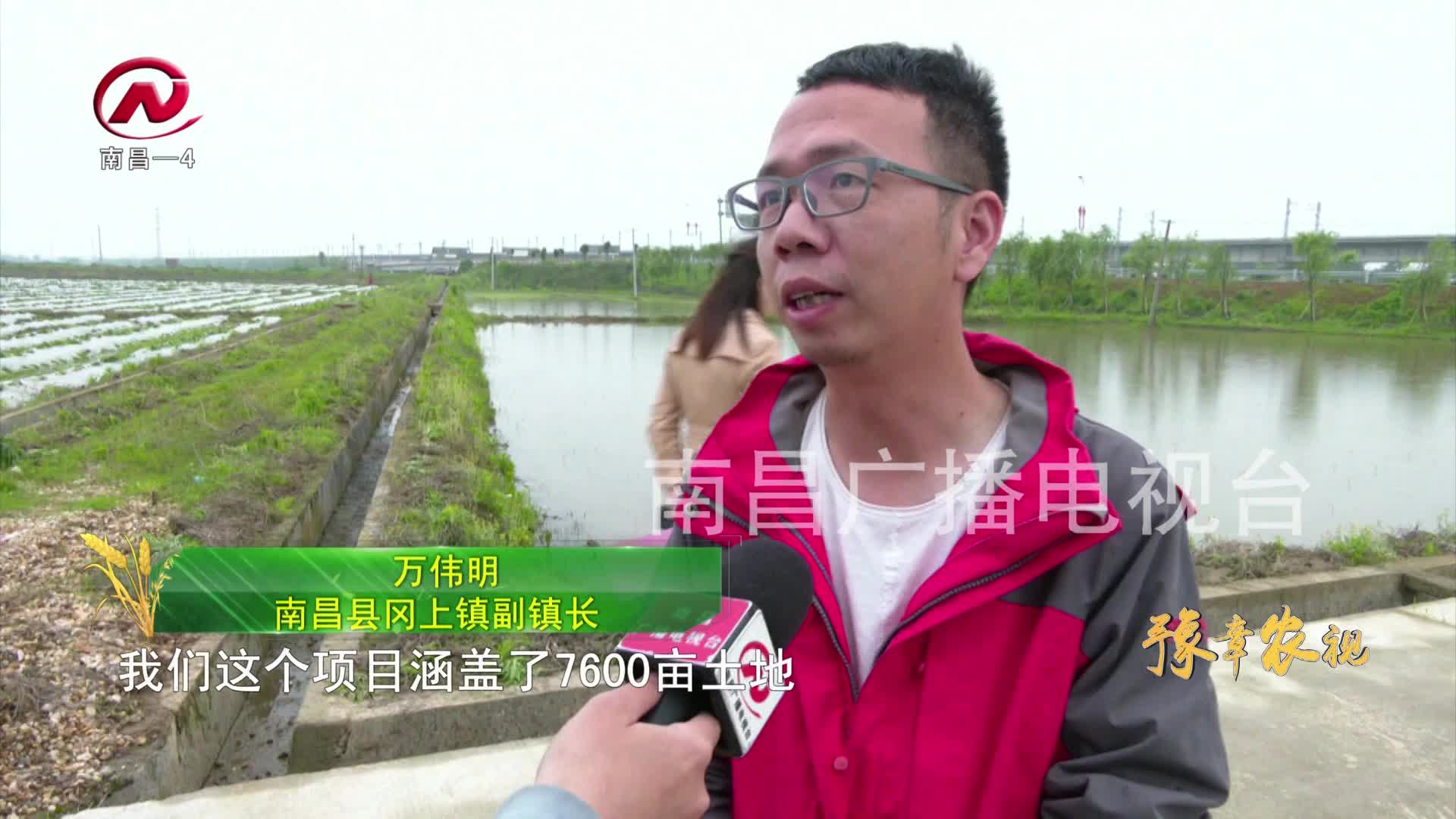 【豫章农视】勇争先 走前列 我市大力推进“高标准农田”建设