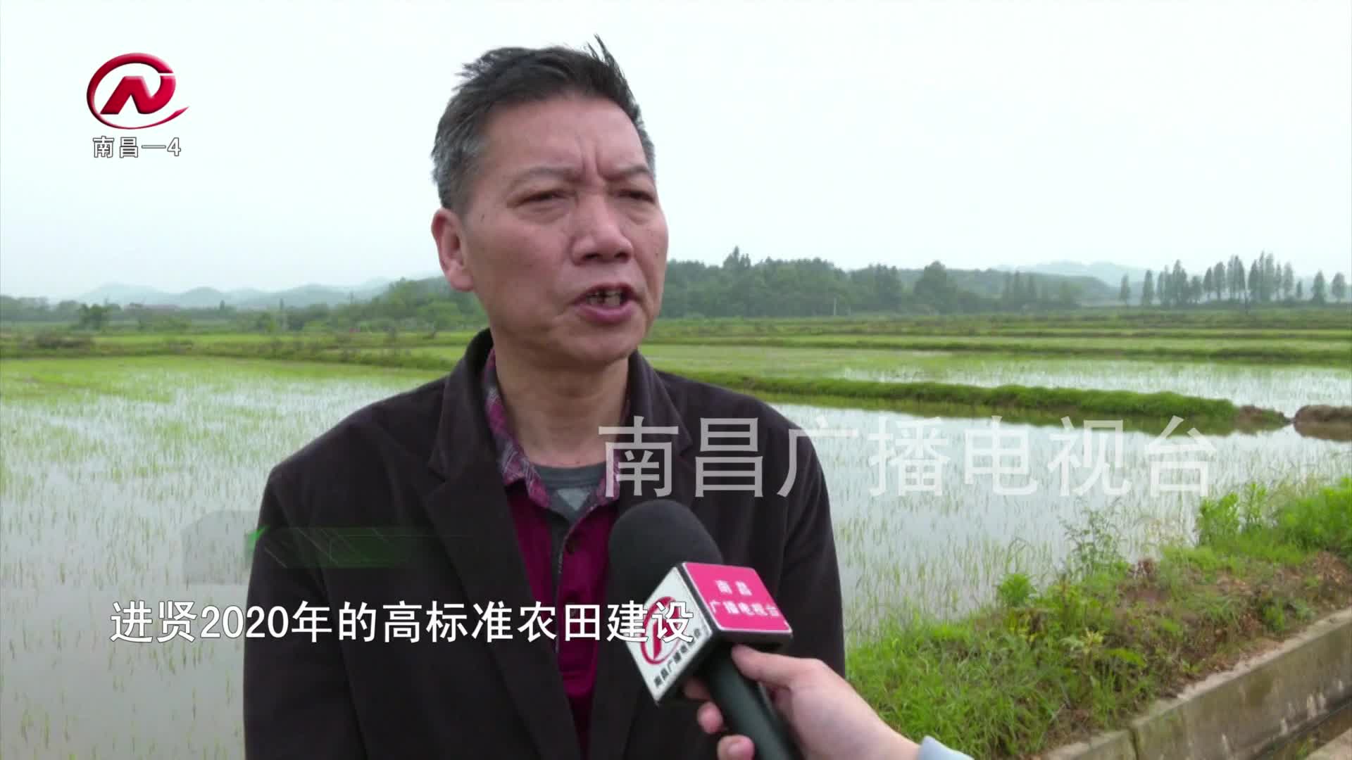 【豫章农视】高标准农田建设 促进农业高效发展