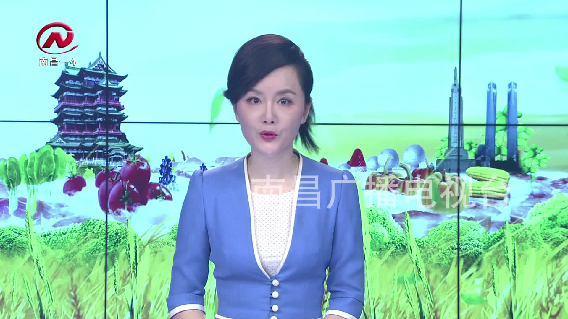 【豫章农视】夏至：中耕锄地保生产