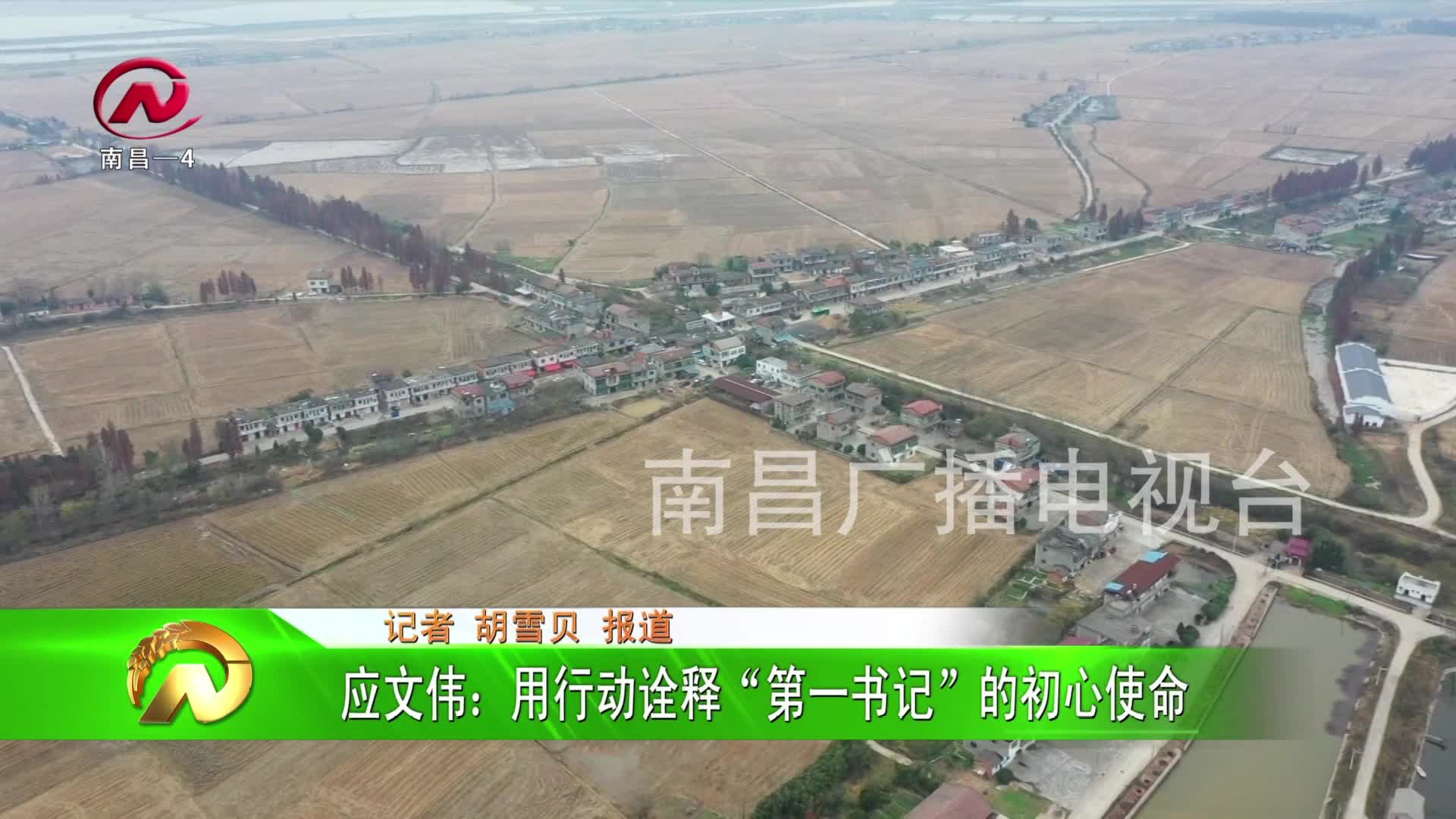 【豫章农视】应文伟：用行动诠释“第一书记”的初心使命