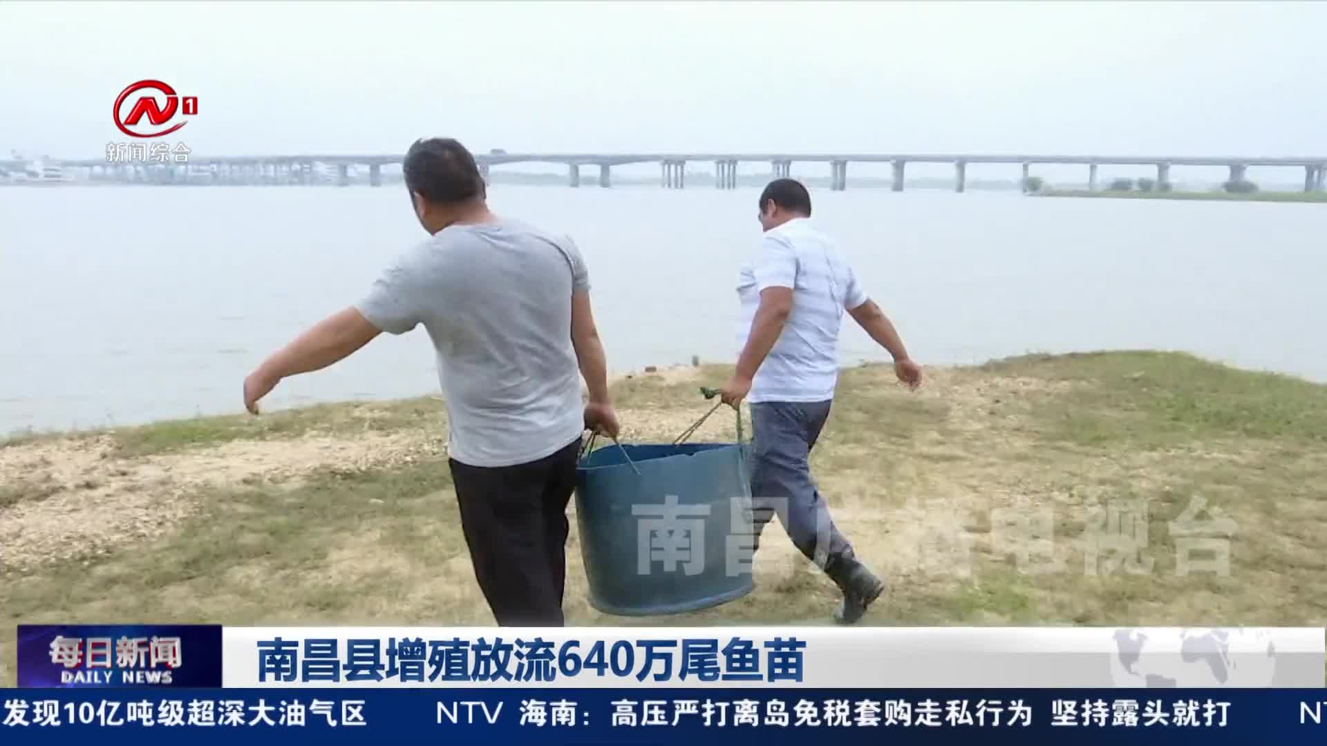 南昌县增殖放流640万尾鱼苗