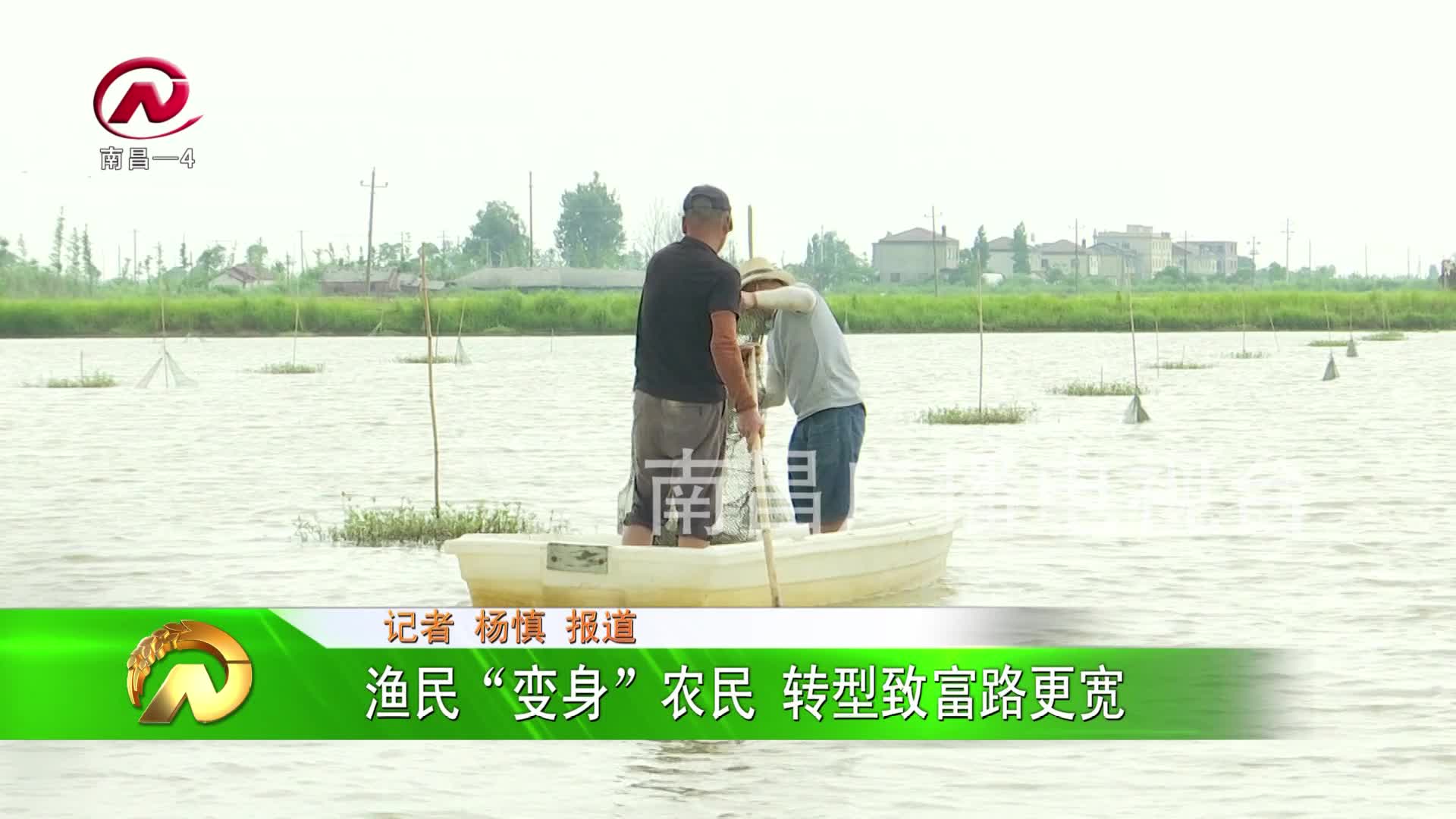 【豫章农视】渔民“变身”农民 转型致富路更宽