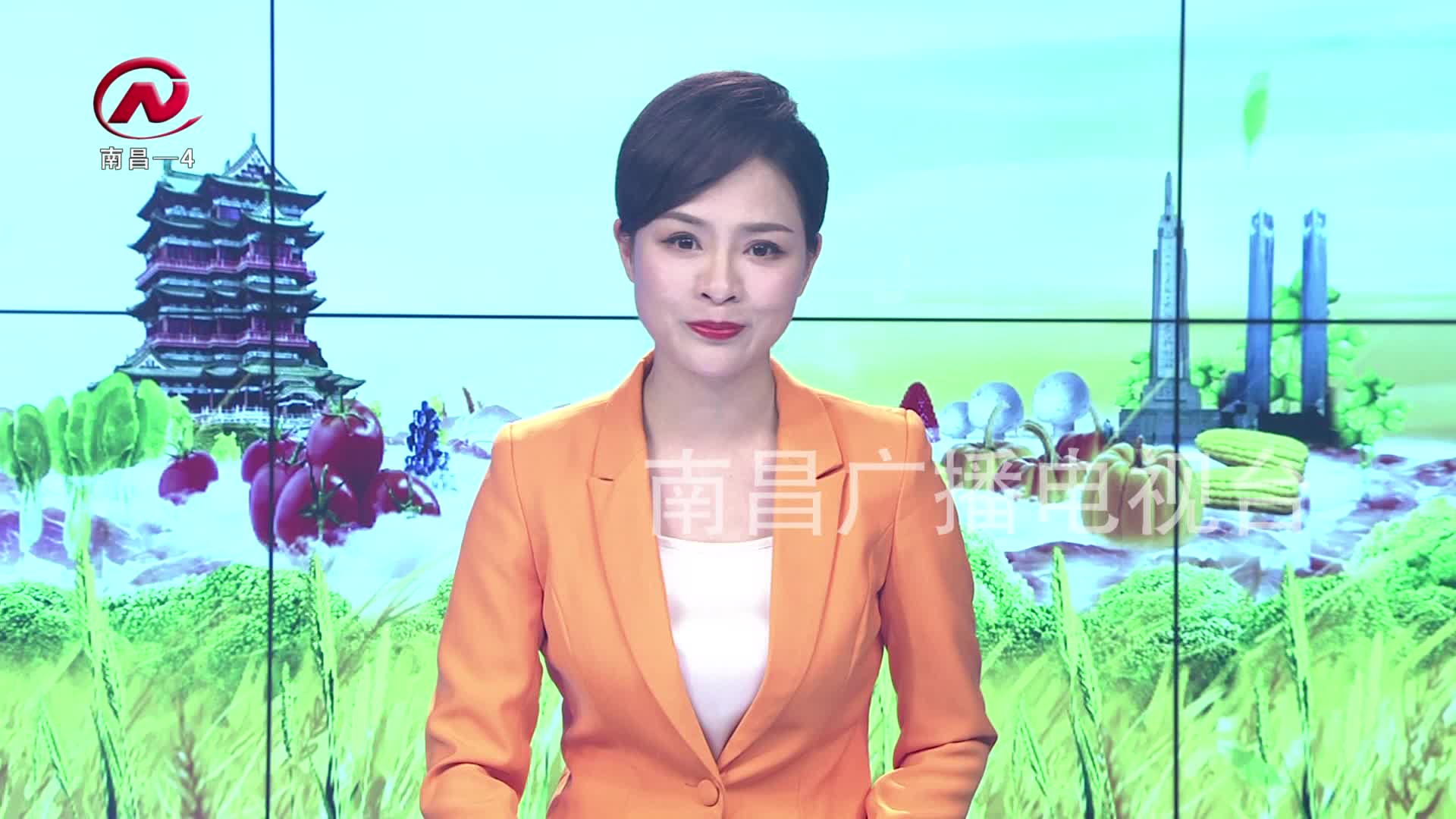 【豫章农视】葡萄架下闯出致富路